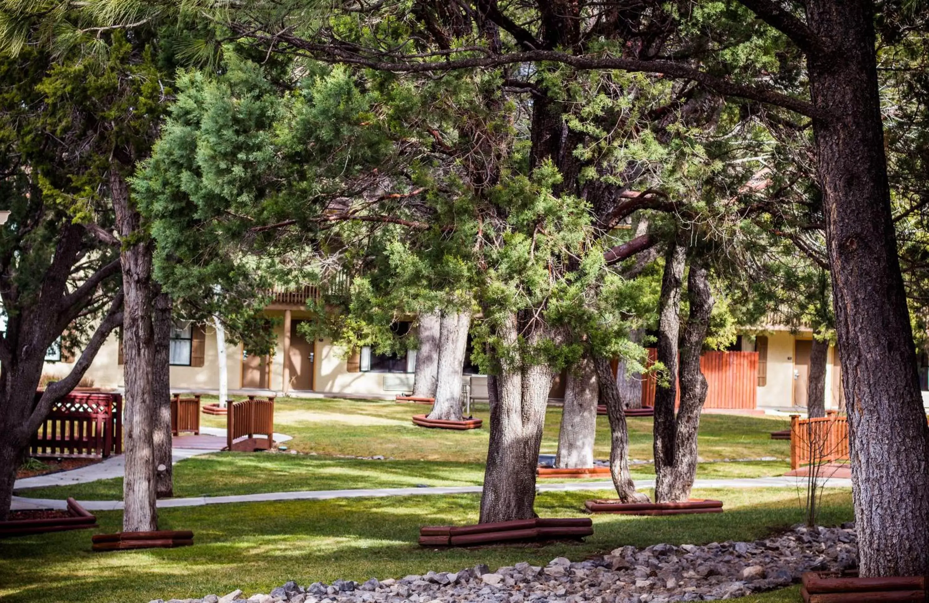 Garden in Best Western Pine Springs Inn