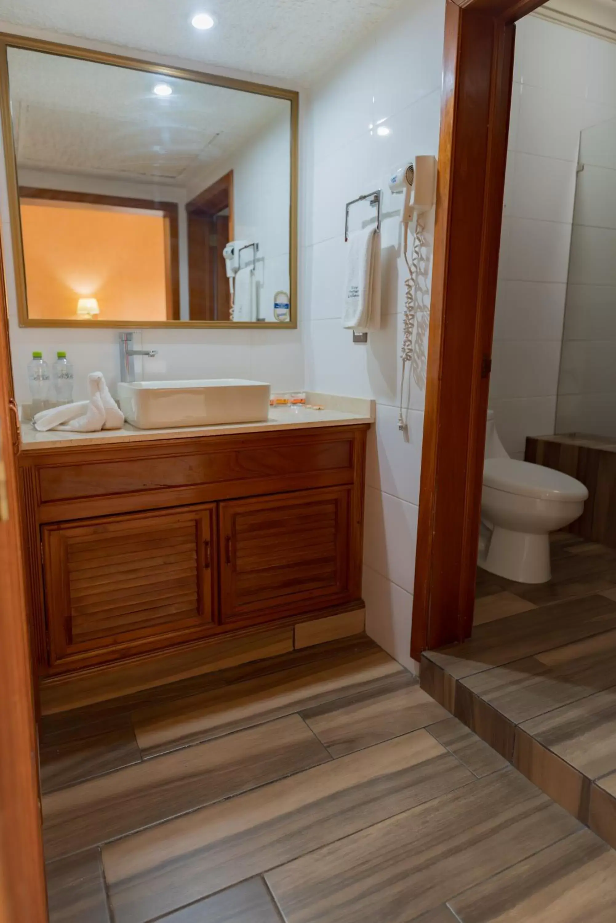 Bathroom in Hotel Santiago De Compostela - Guadalajara Centro Historico