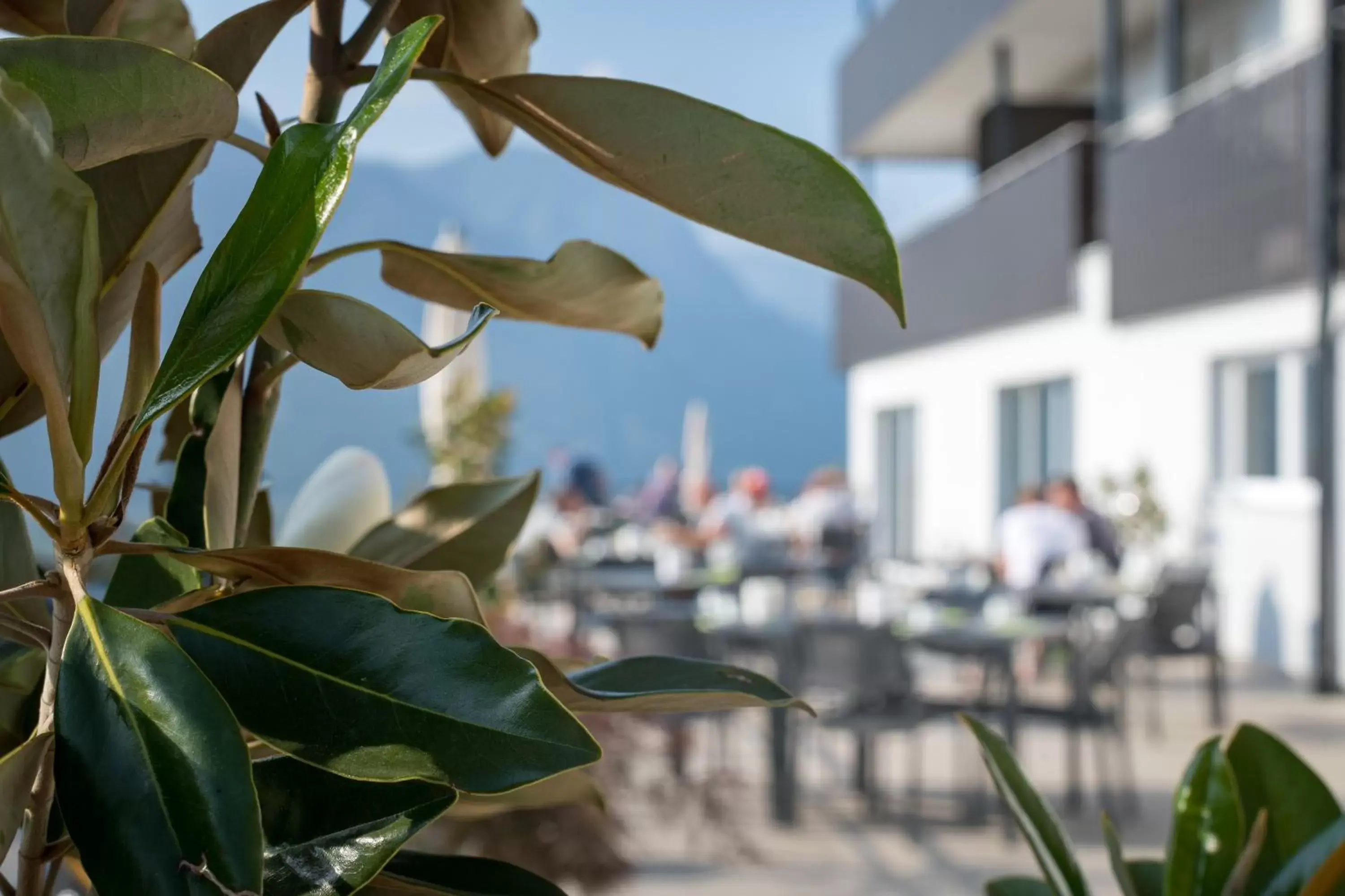 Balcony/Terrace in Residence Garni Hotel Vineus