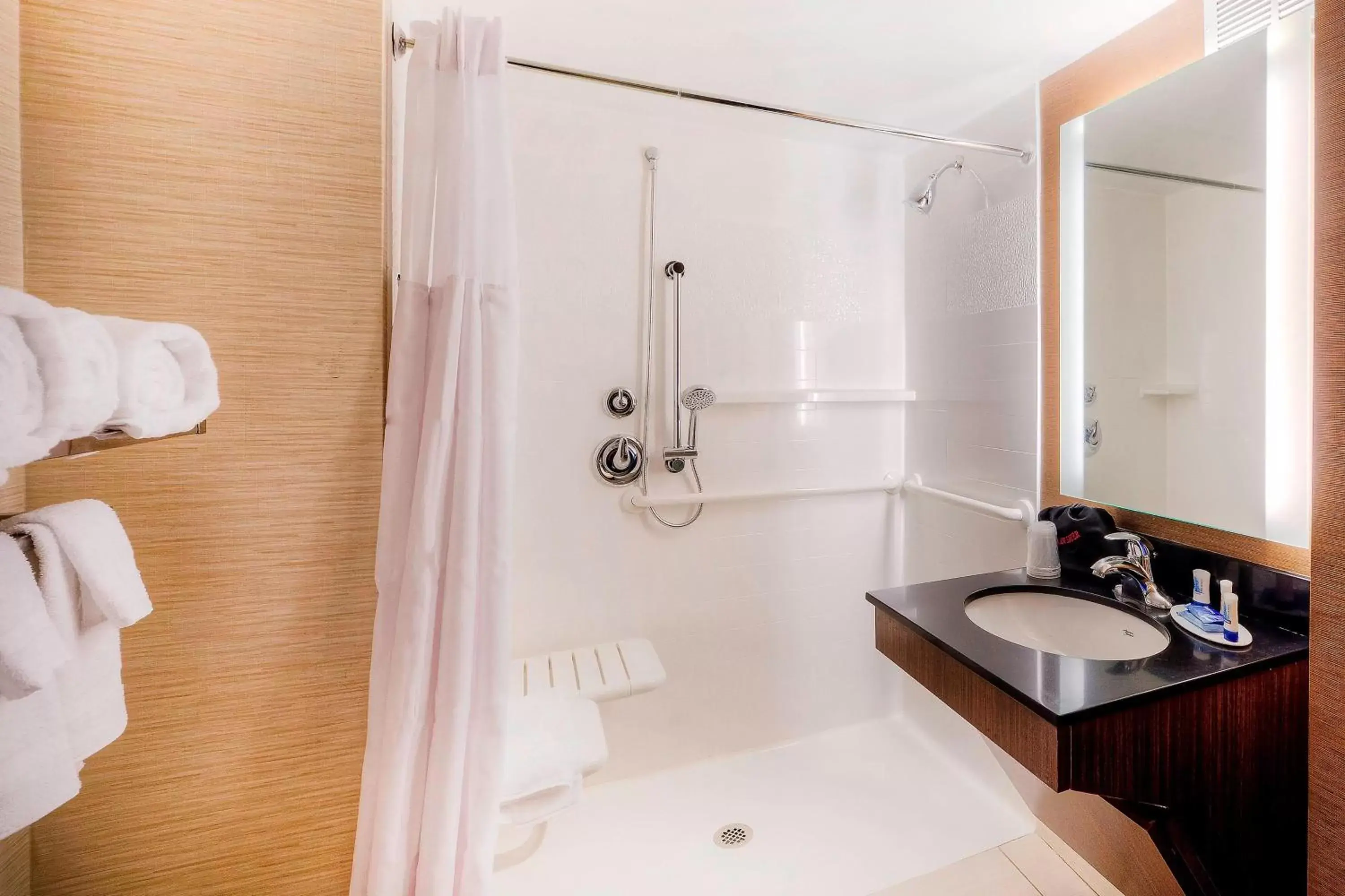 Bathroom in Fairfield Inn & Suites by Marriott Winston-Salem Downtown