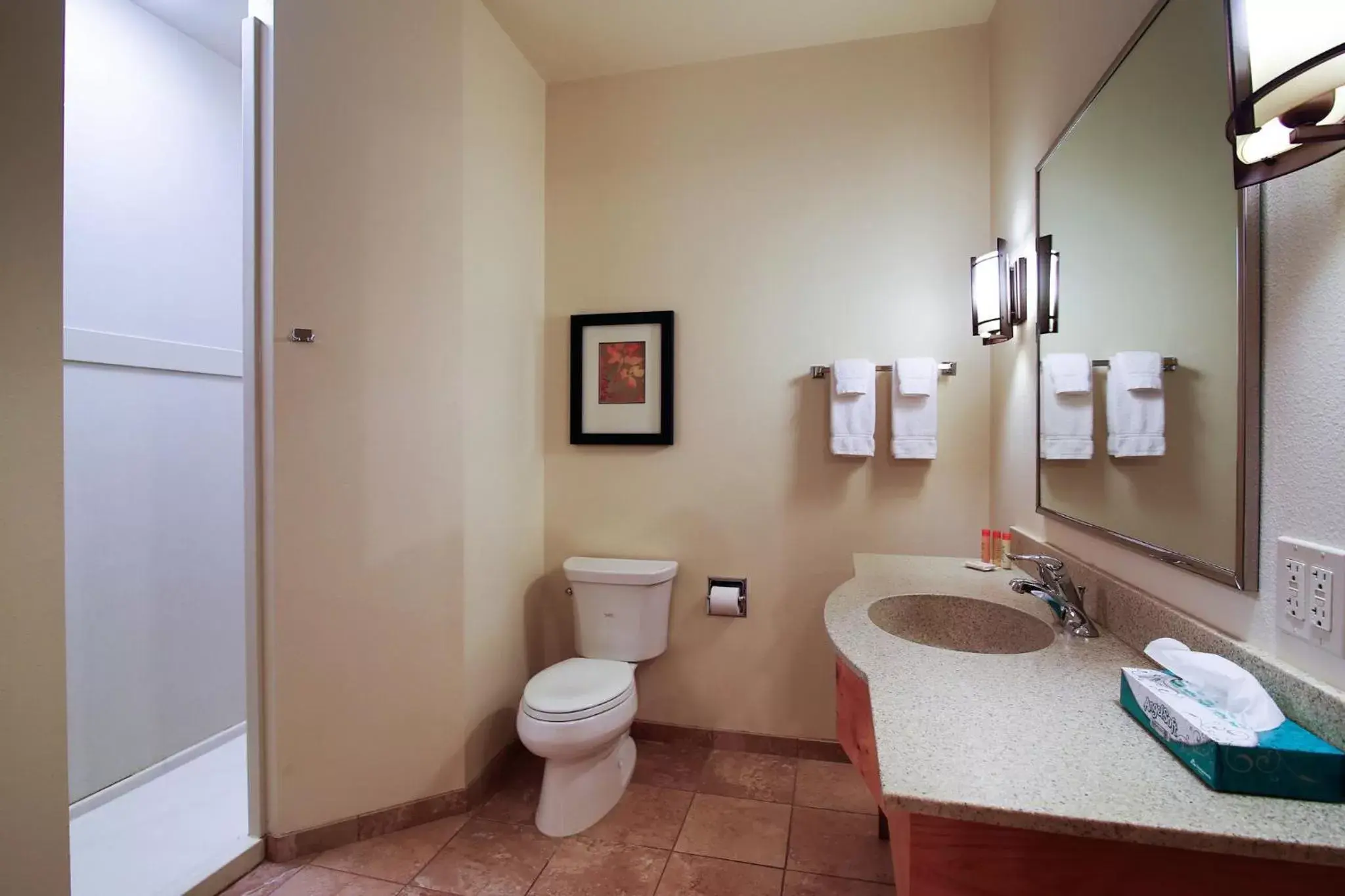 Bathroom in Hawthorn Suites by Wyndham Minot