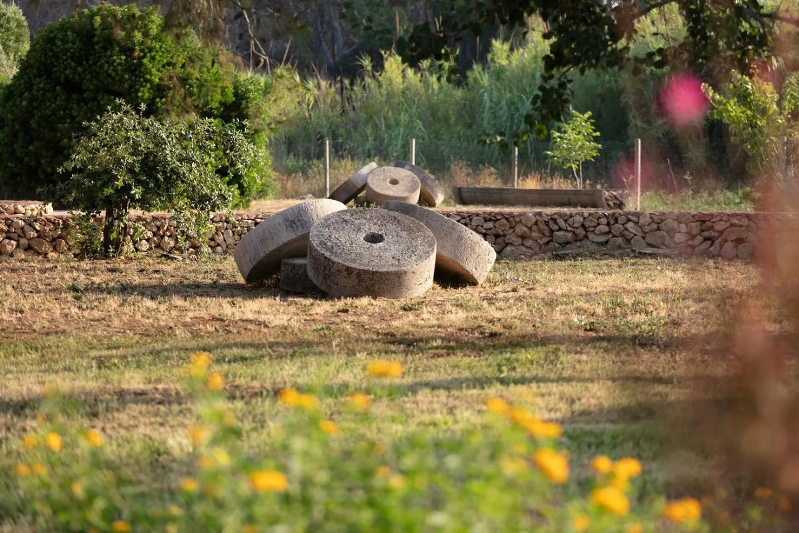 Natural landscape in Masseria Mongiò dell'Elefante