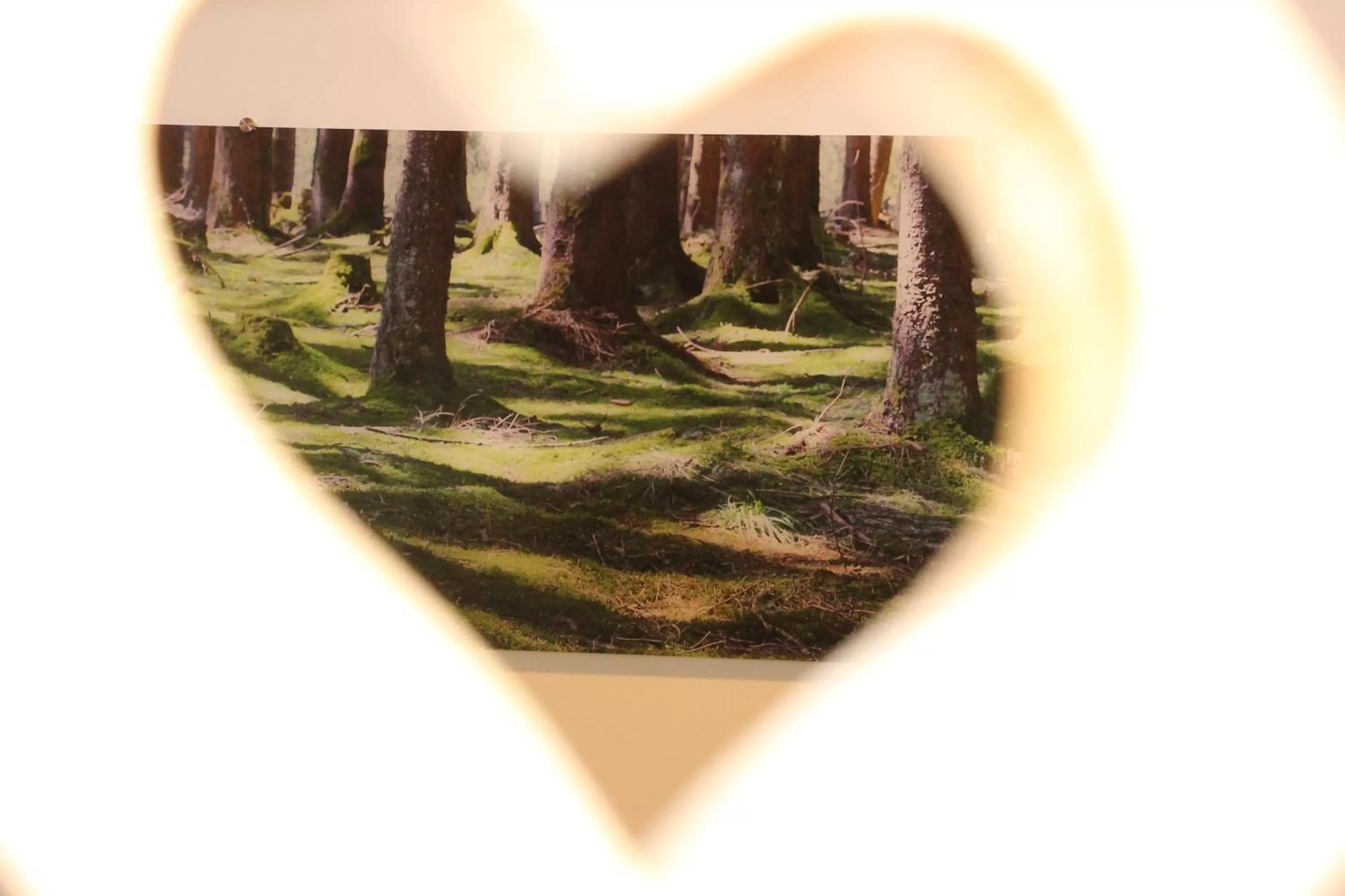 Other in Landhaus Grobert