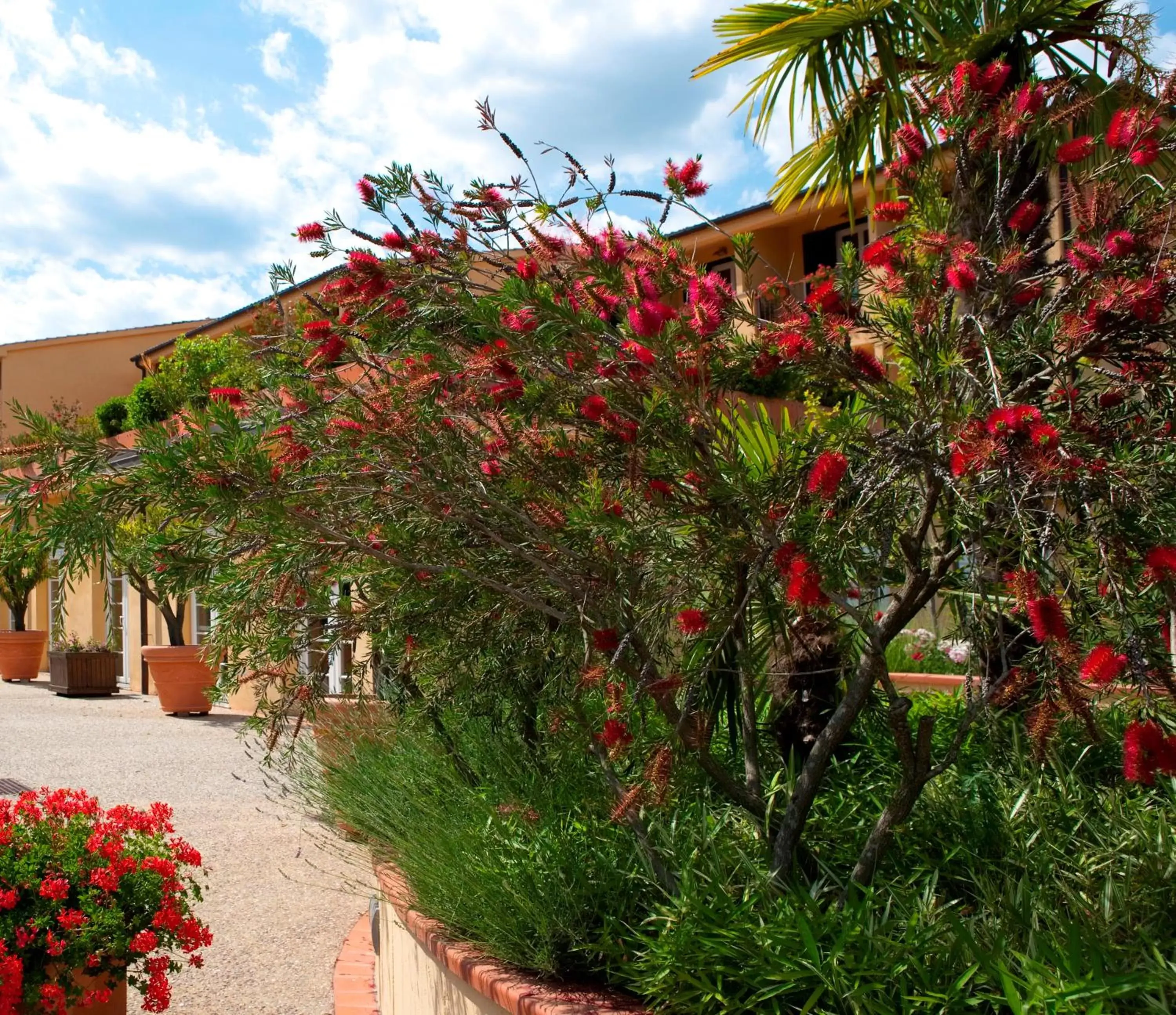 Facade/entrance in Hotel Villa Cappugi