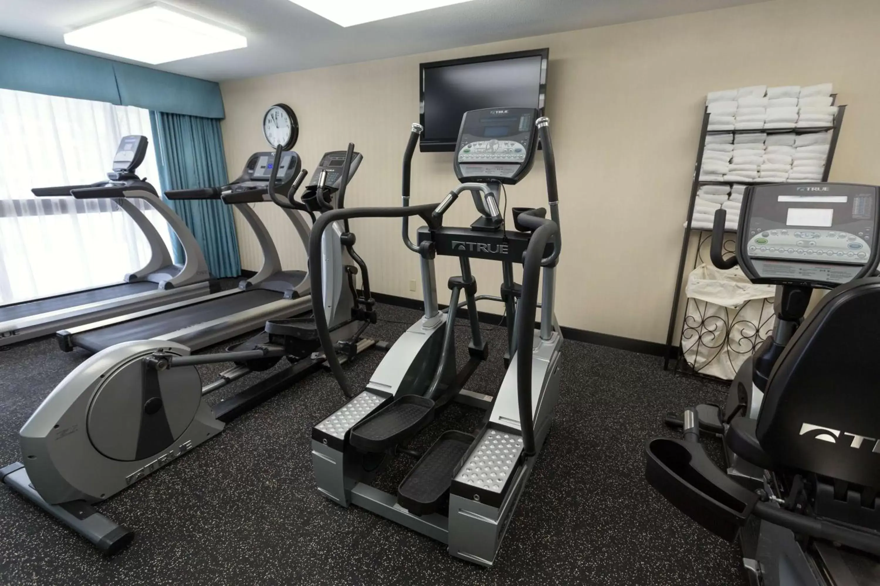 Activities, Fitness Center/Facilities in Drury Inn & Suites Detroit Troy