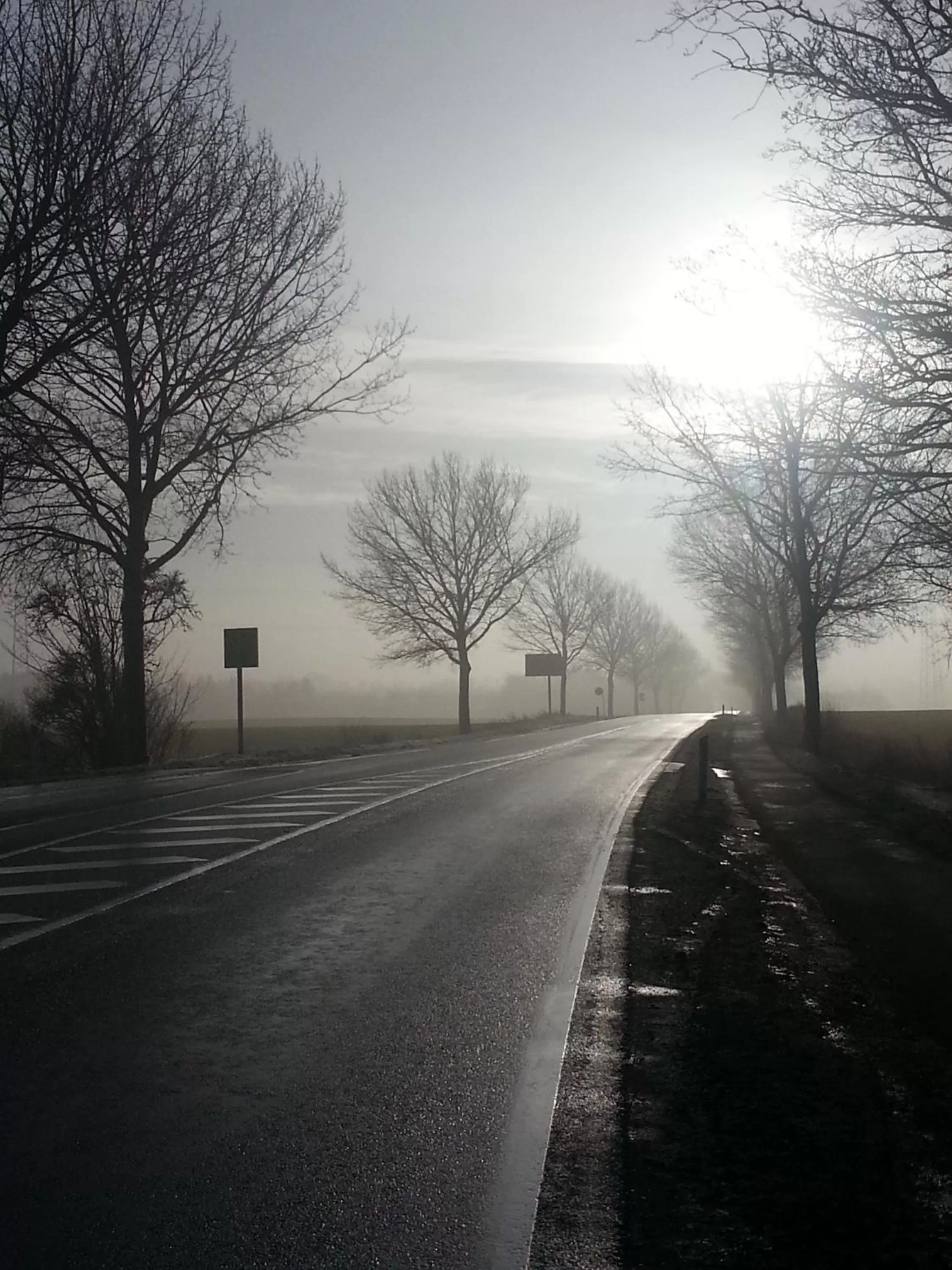 Other in Roskilde B&B