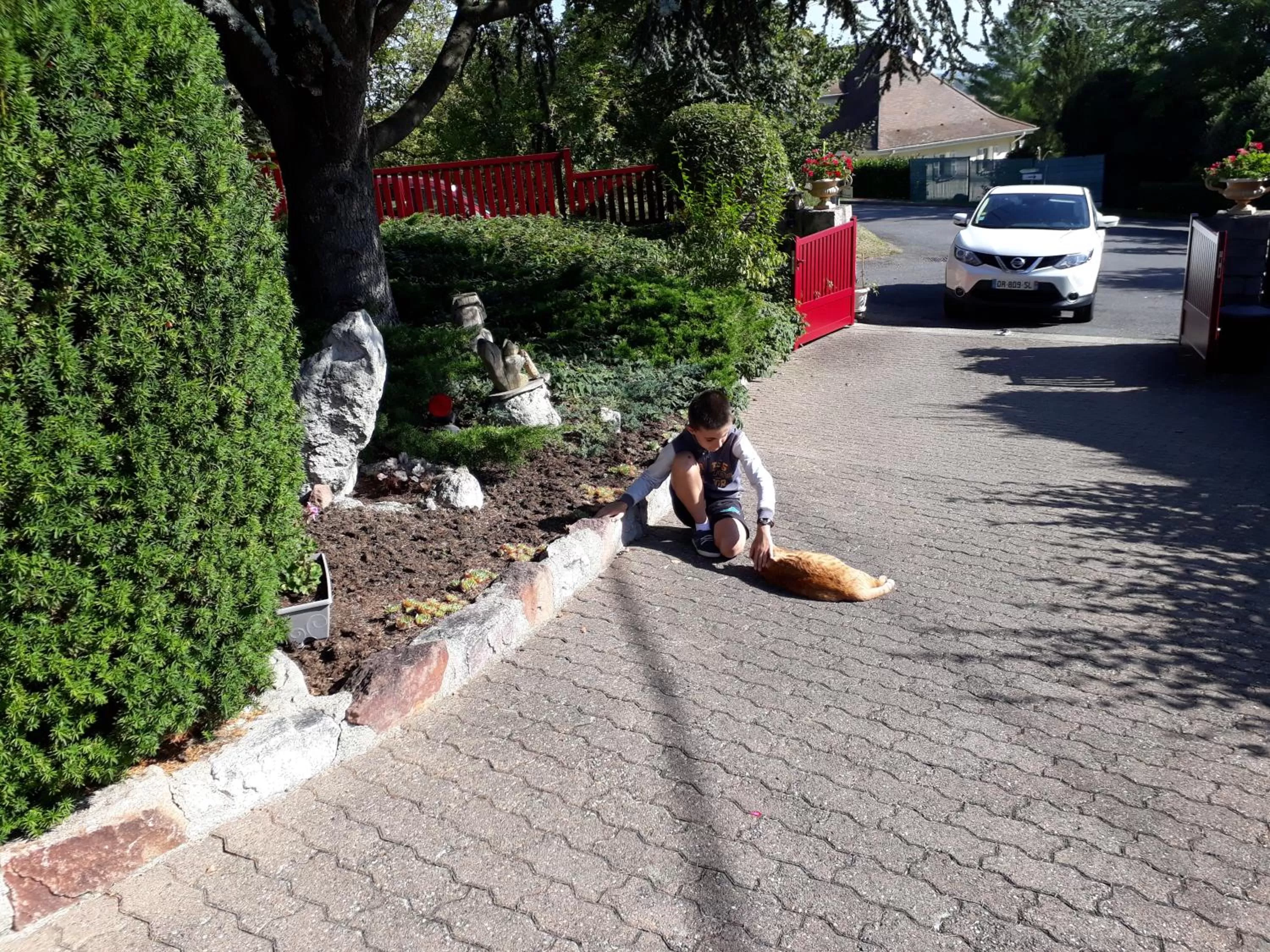 Animals in Hôtel-Logis La Coraline