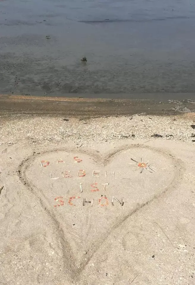 Natural landscape, Beach in 't Laaisterplakky