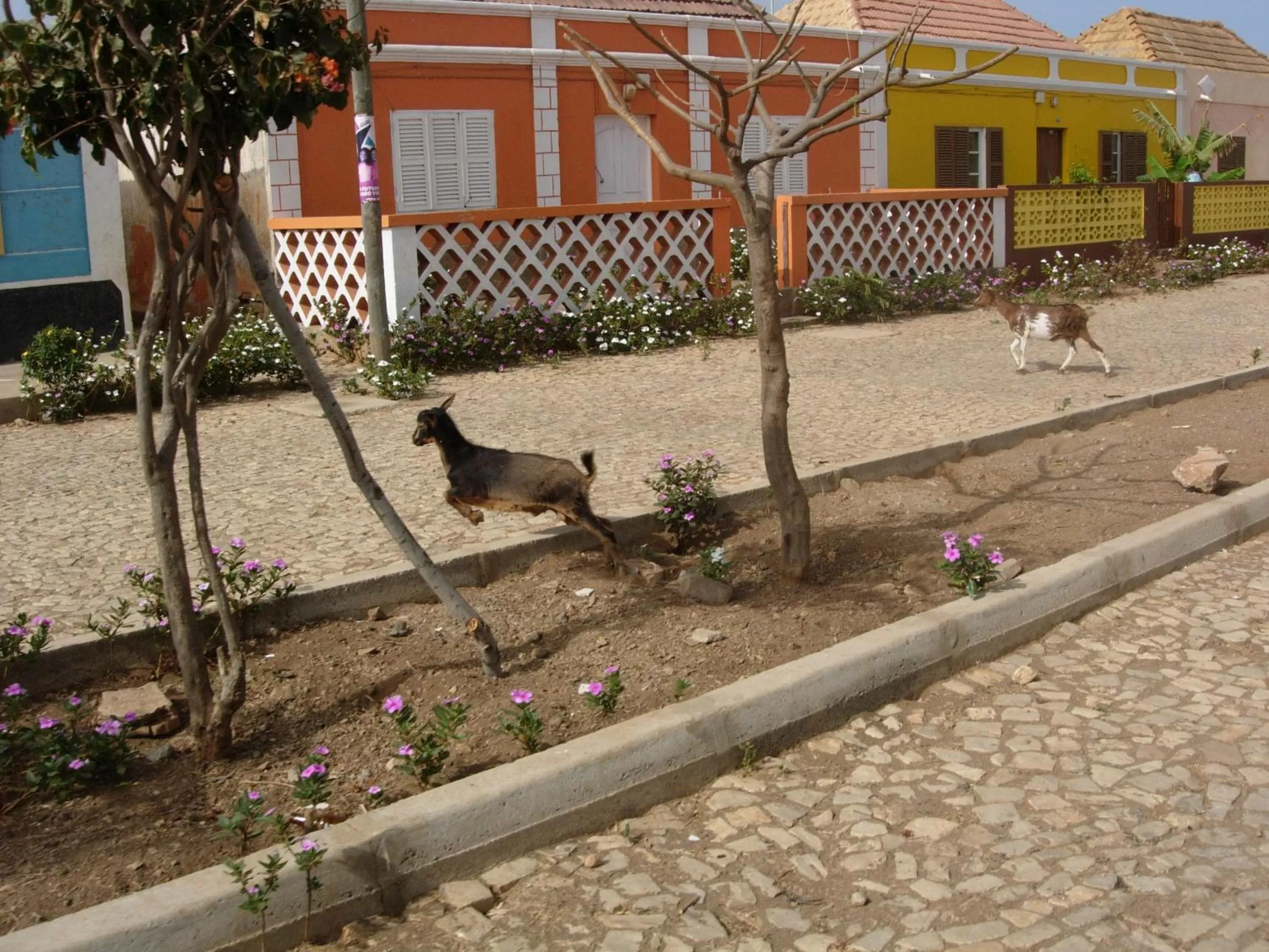 Nearby landmark in Atlantic Maio Hotel