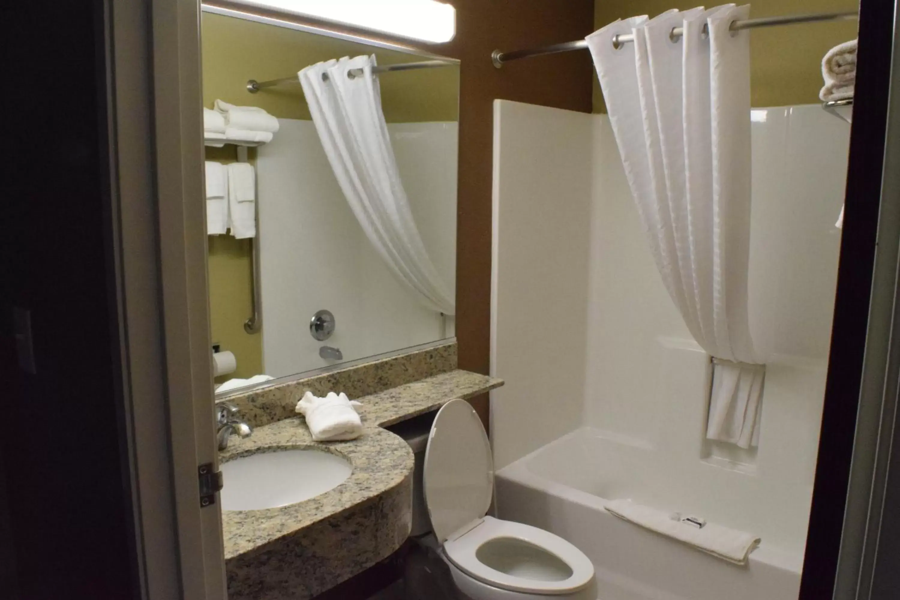 Bathroom in Microtel Inn and Suites Pecos