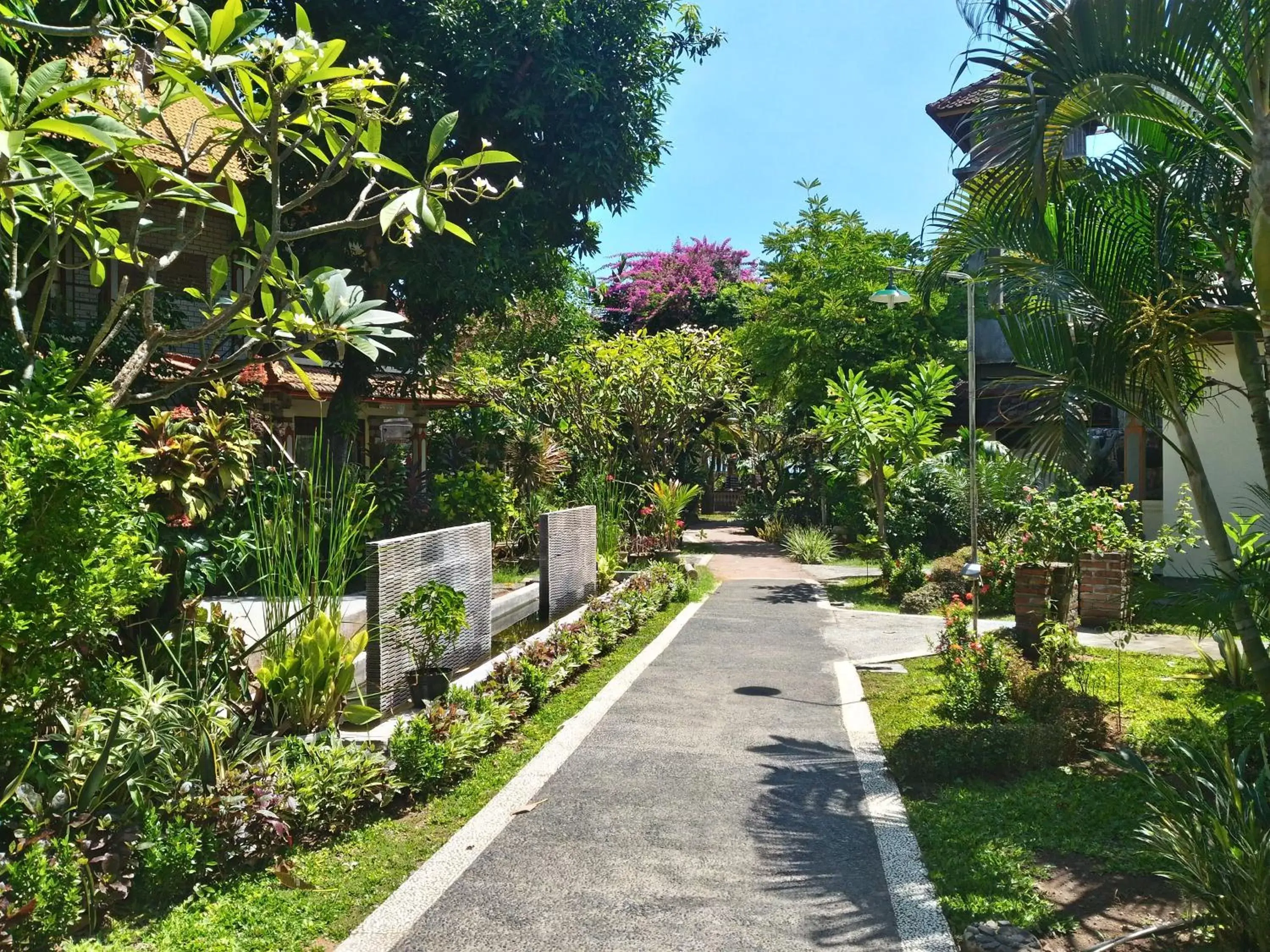 Garden in Lovina Beach Hotel