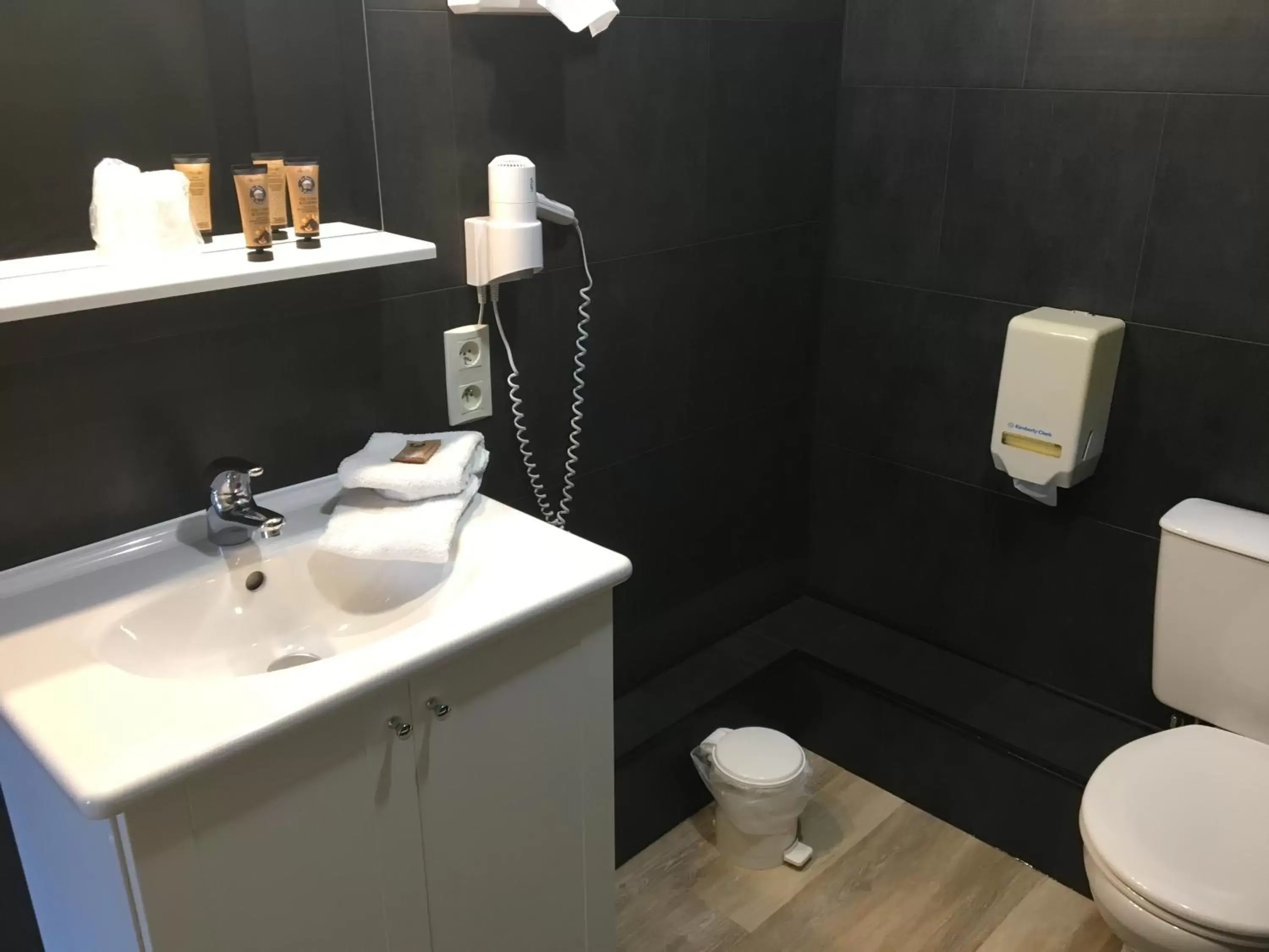 Toilet, Bathroom in Hôtel Le Dauphin