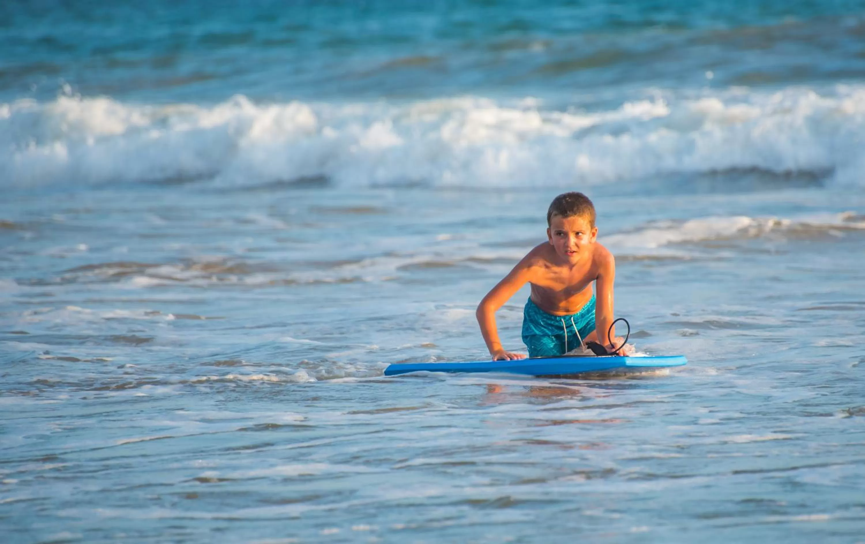 Beach in Ballena Regency