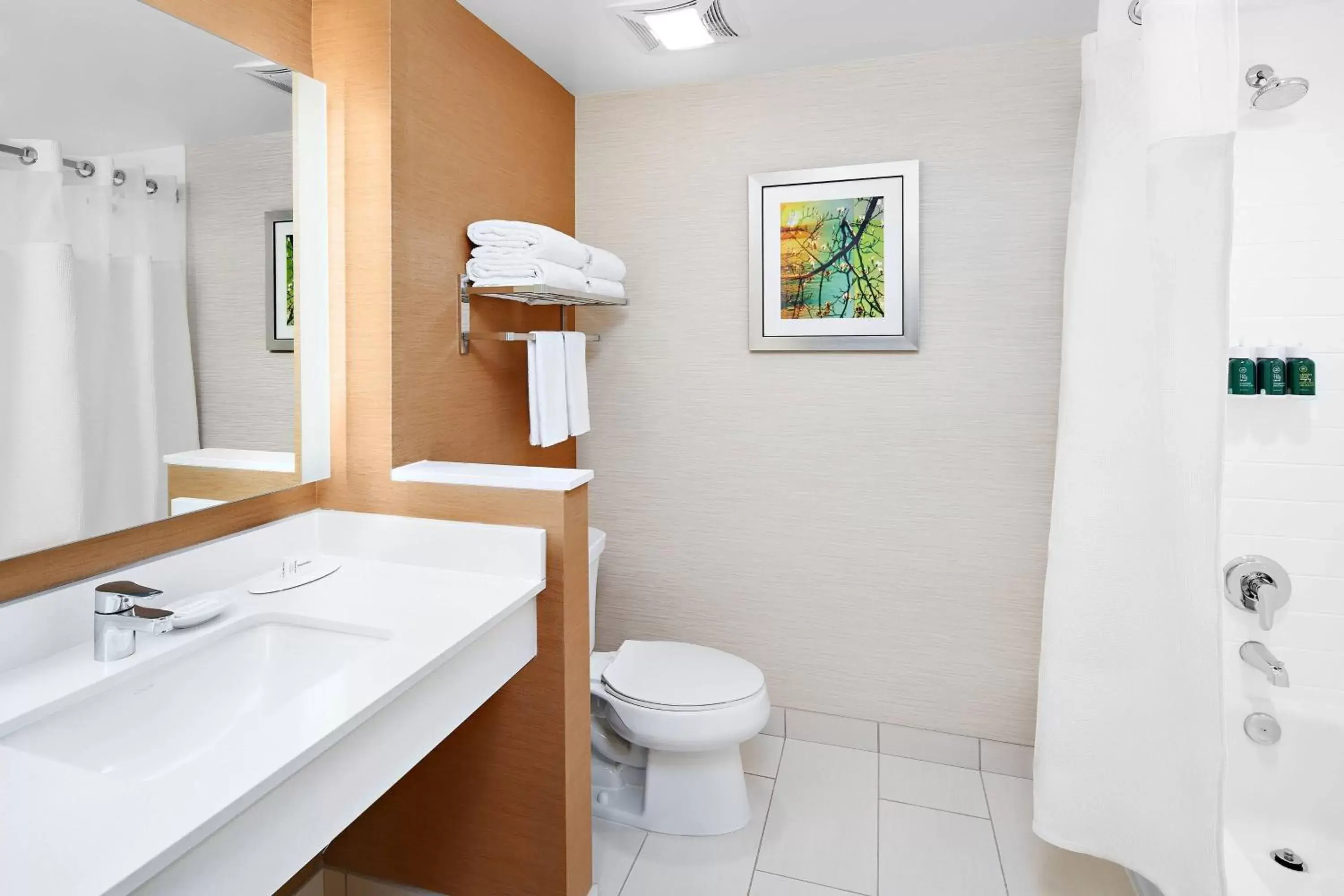 Bathroom in Fairfield Inn & Suites by Marriott Fresno Yosemite International Airport