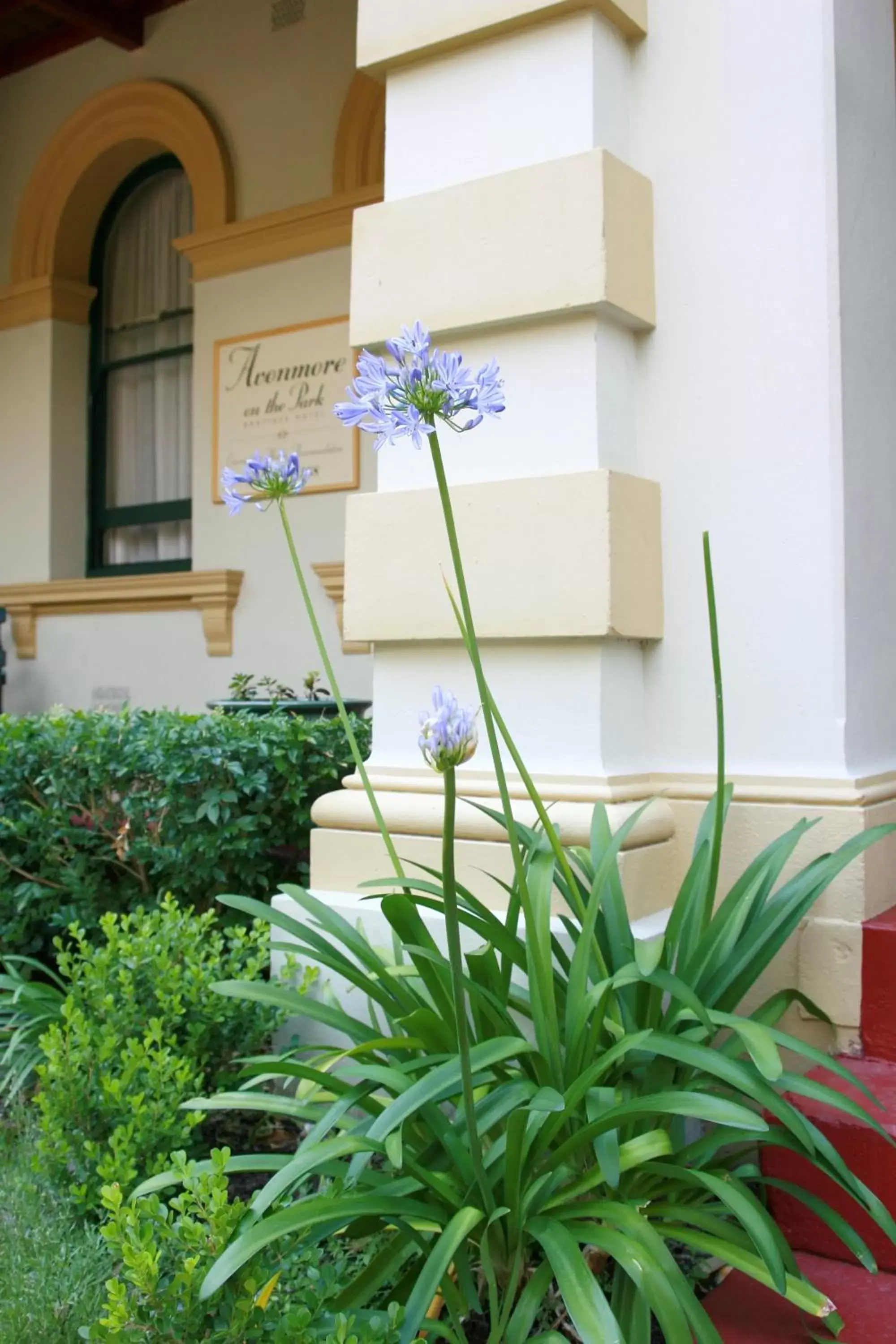 Decorative detail, Property Building in Avonmore On The Park Boutique Hotel