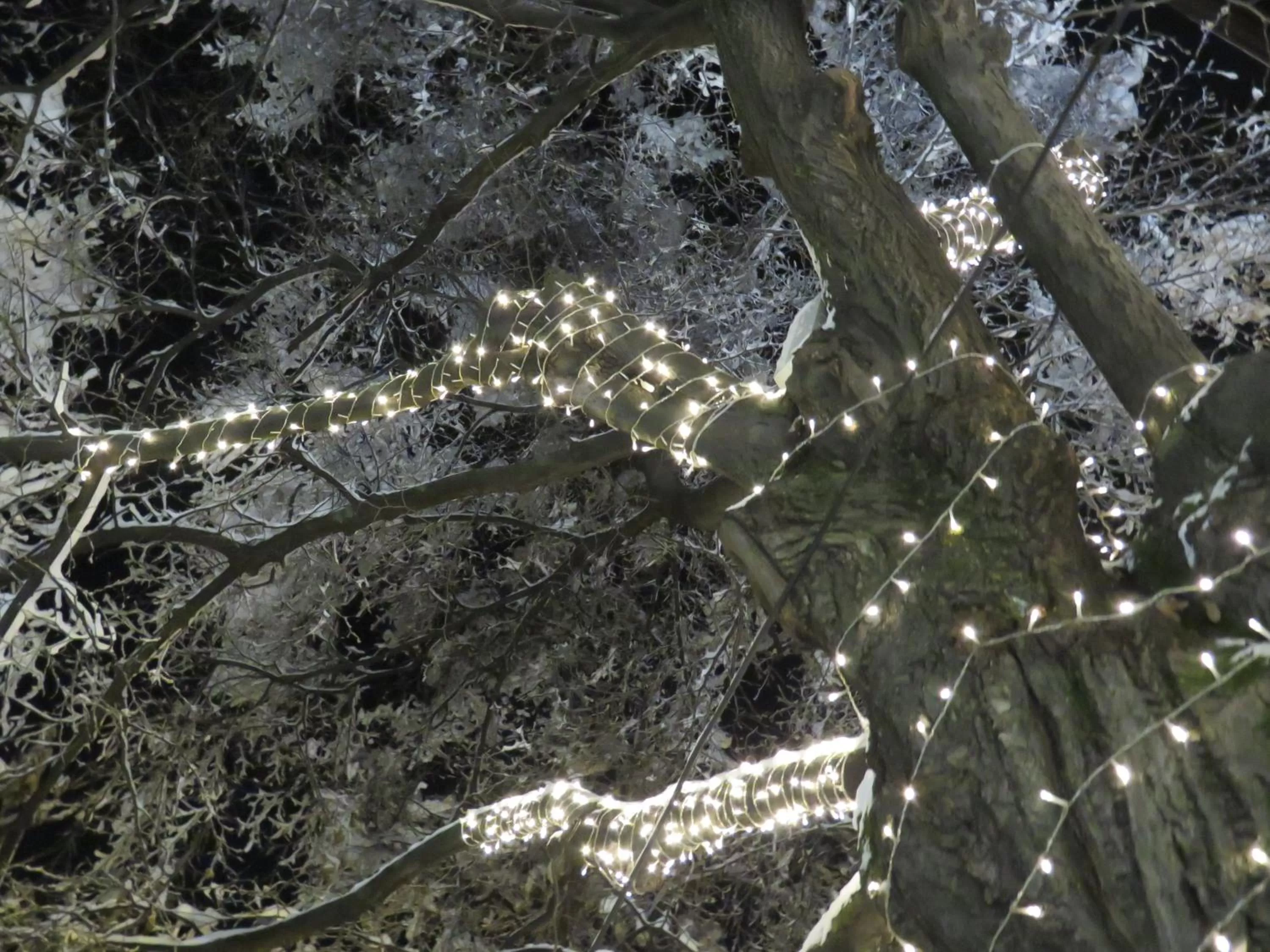 Winter in Hotel Villa Boyana - Free Parking