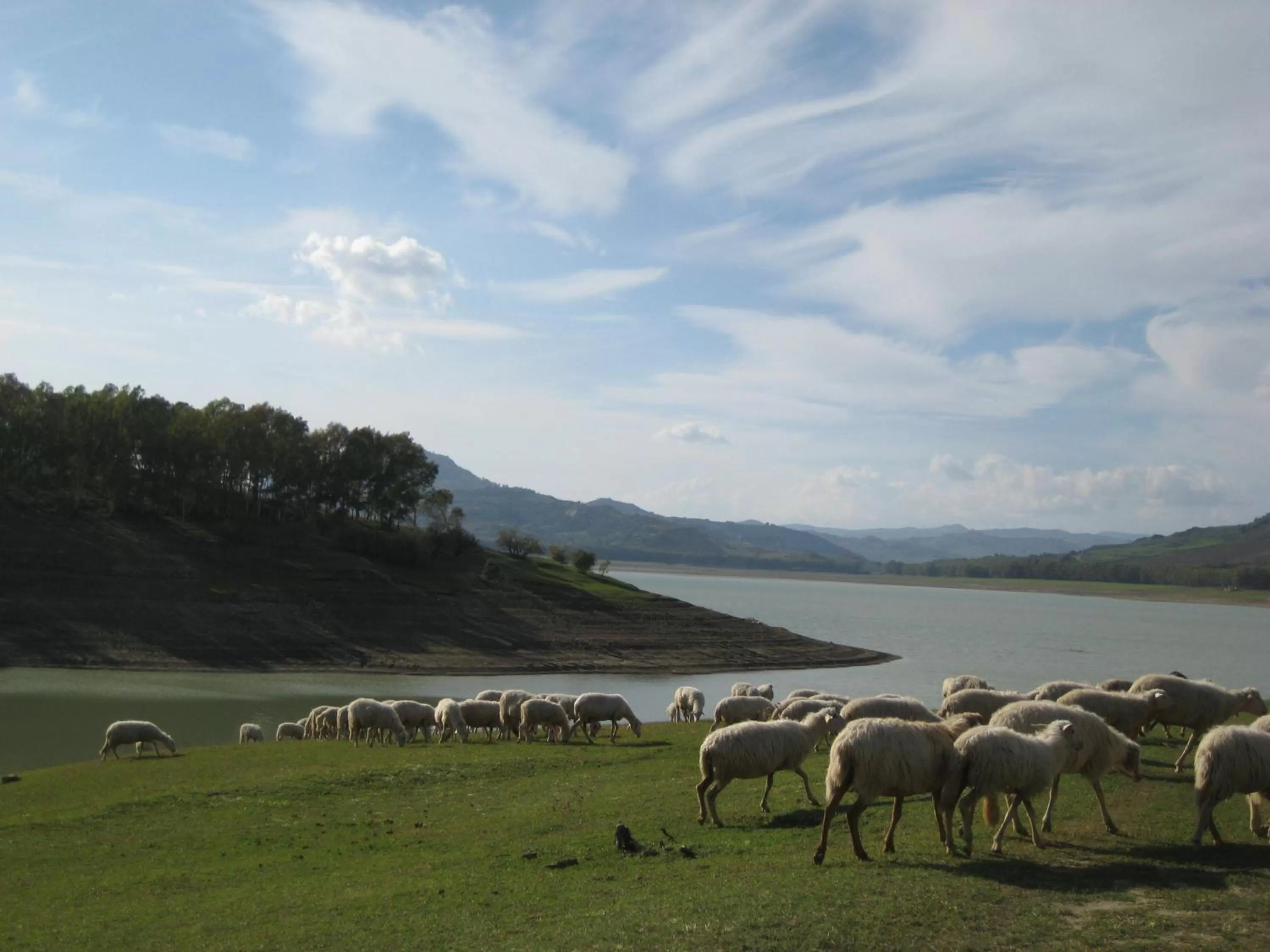 Animals in Oasi del Lago