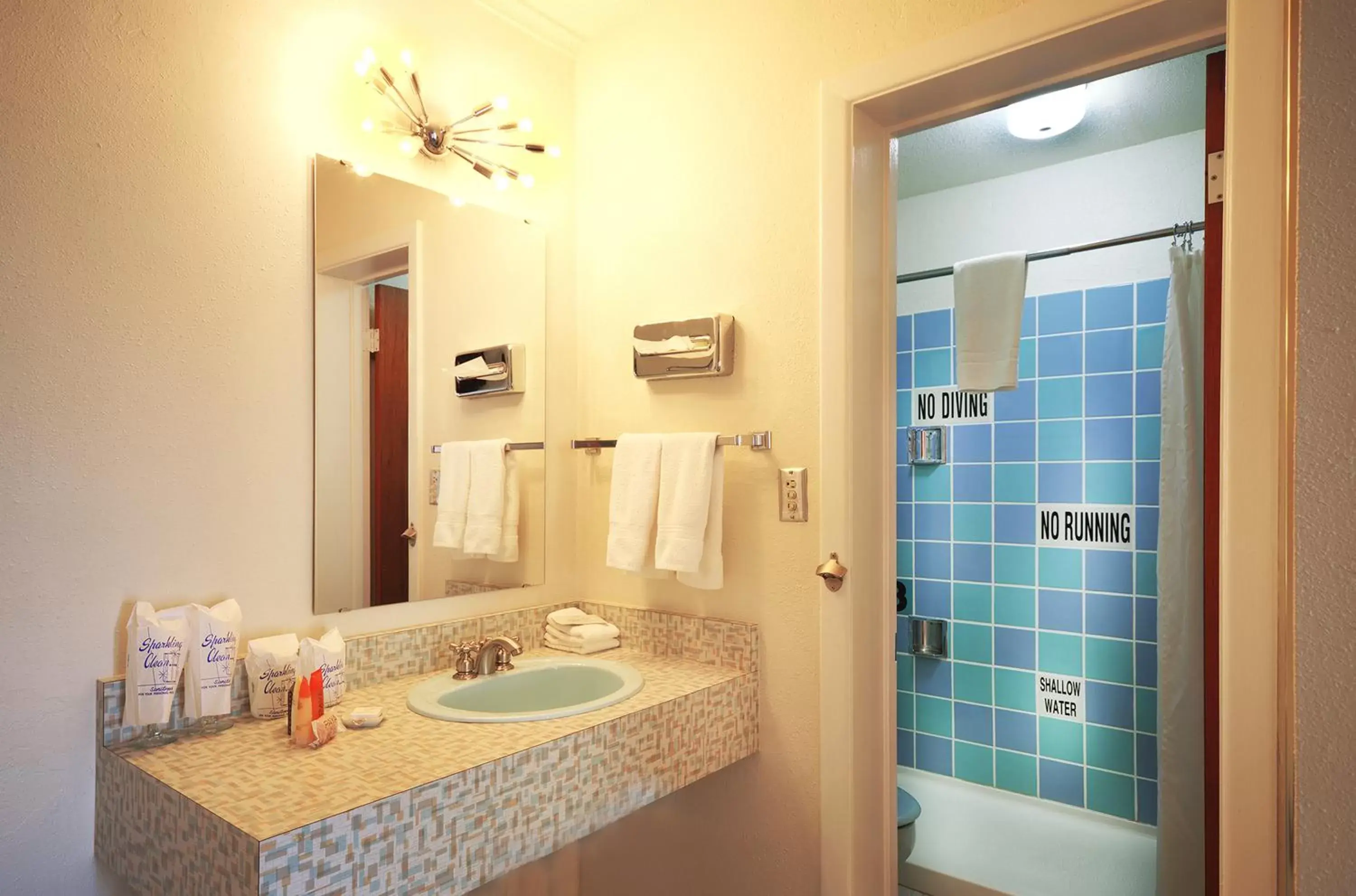 Shower, Bathroom in Roadrunner Lodge Motel