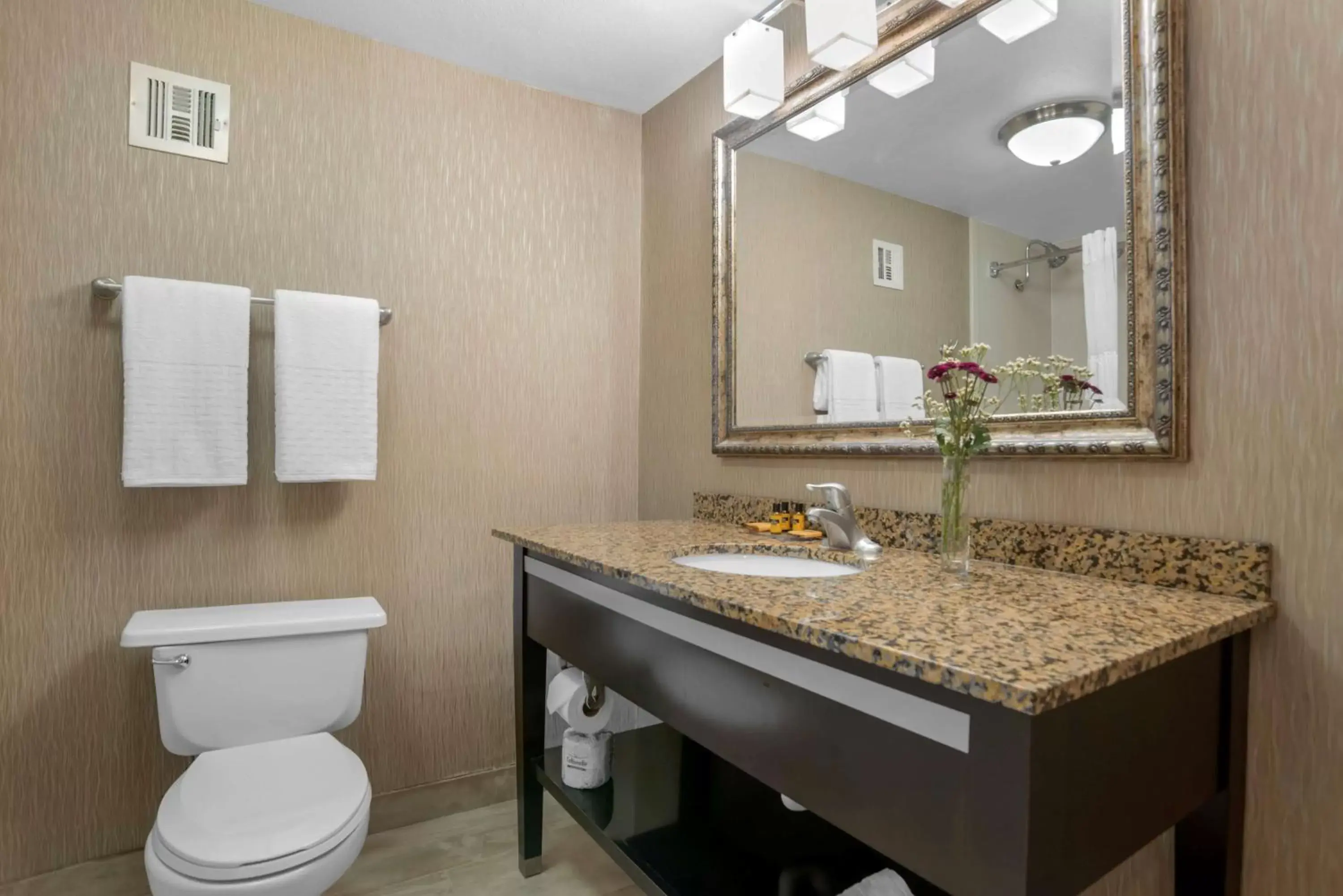 Bathroom in Best Western Plus Tallahassee North Hotel