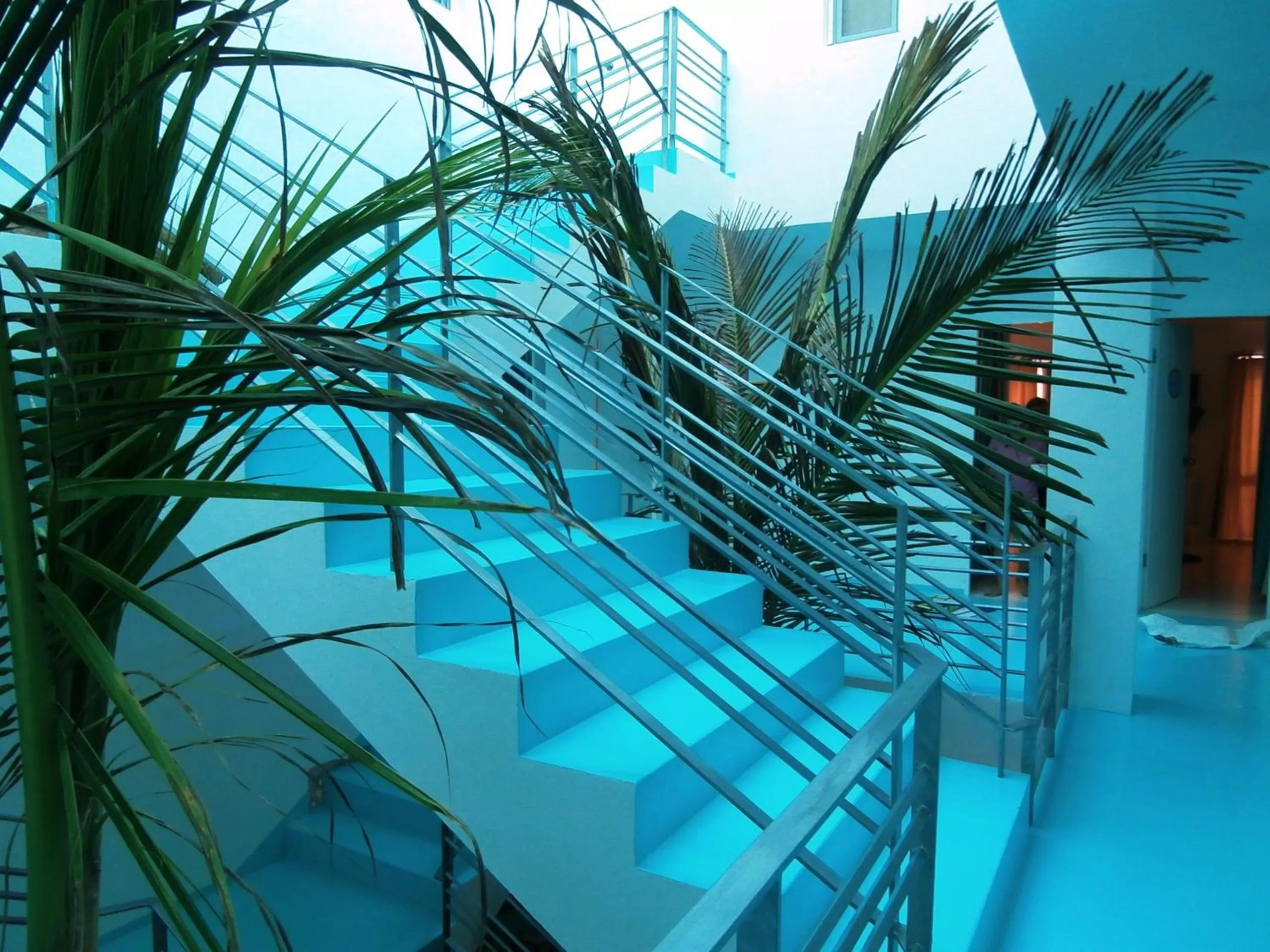 Garden in Pensaò Big Game Maio