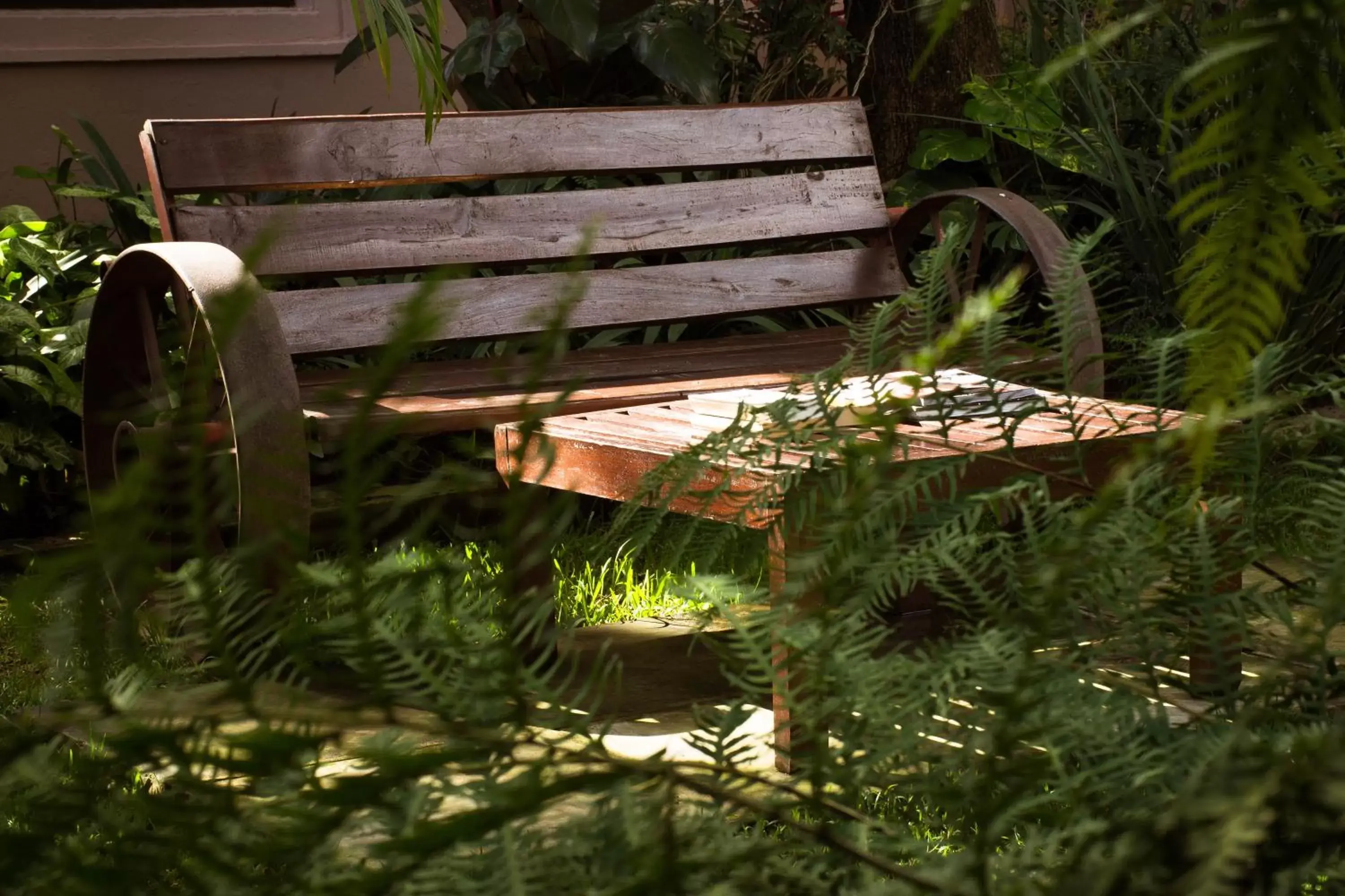 Garden in Zawadi House Lodge