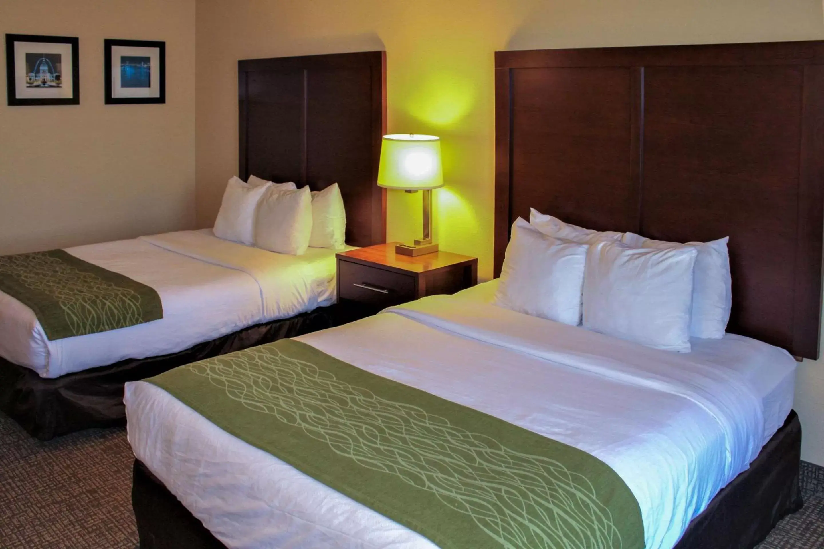 Photo of the whole room, Room Photo in Comfort Inn & Suites - Chesterfield