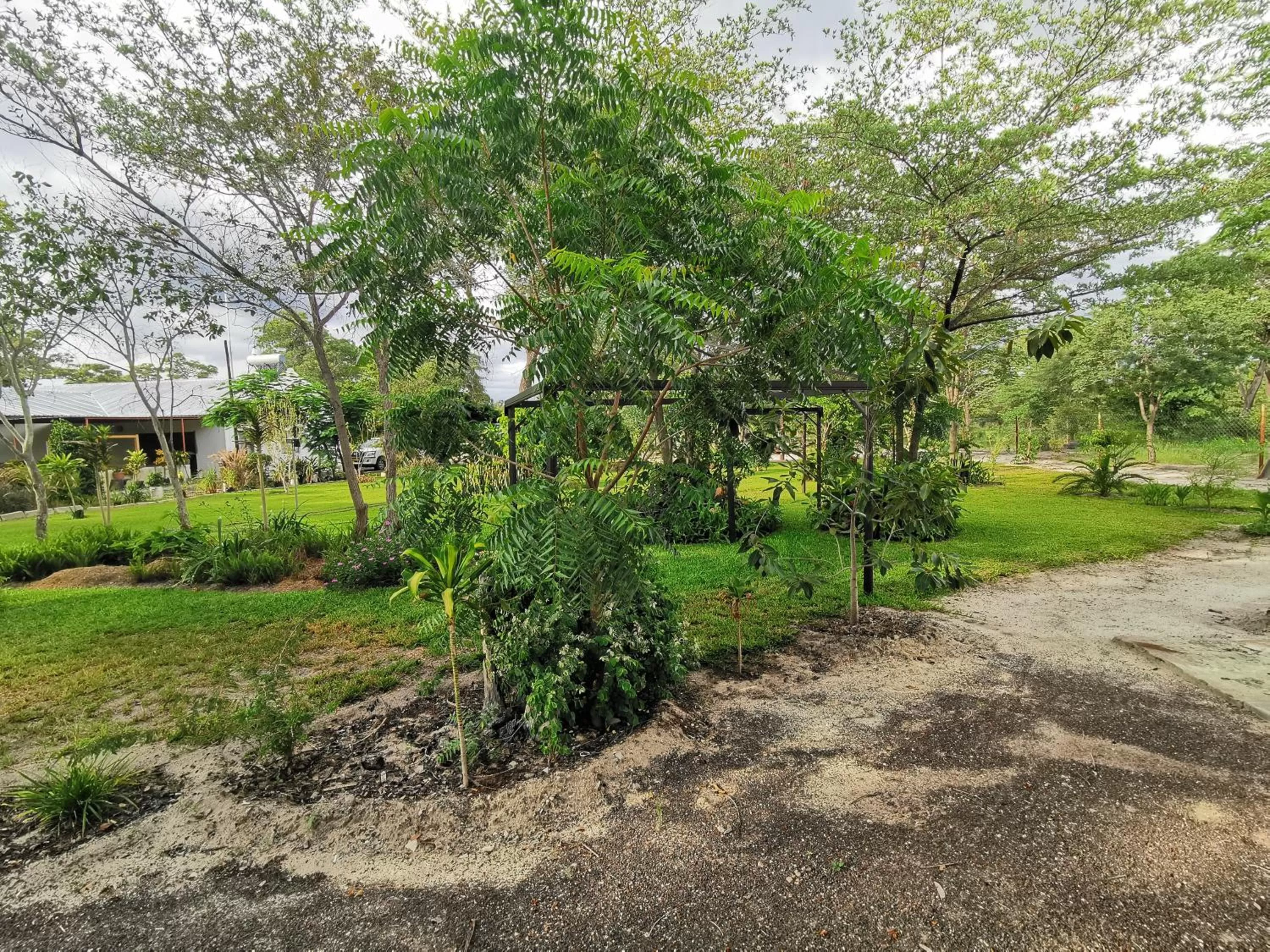 Garden in Happy Forest B&B