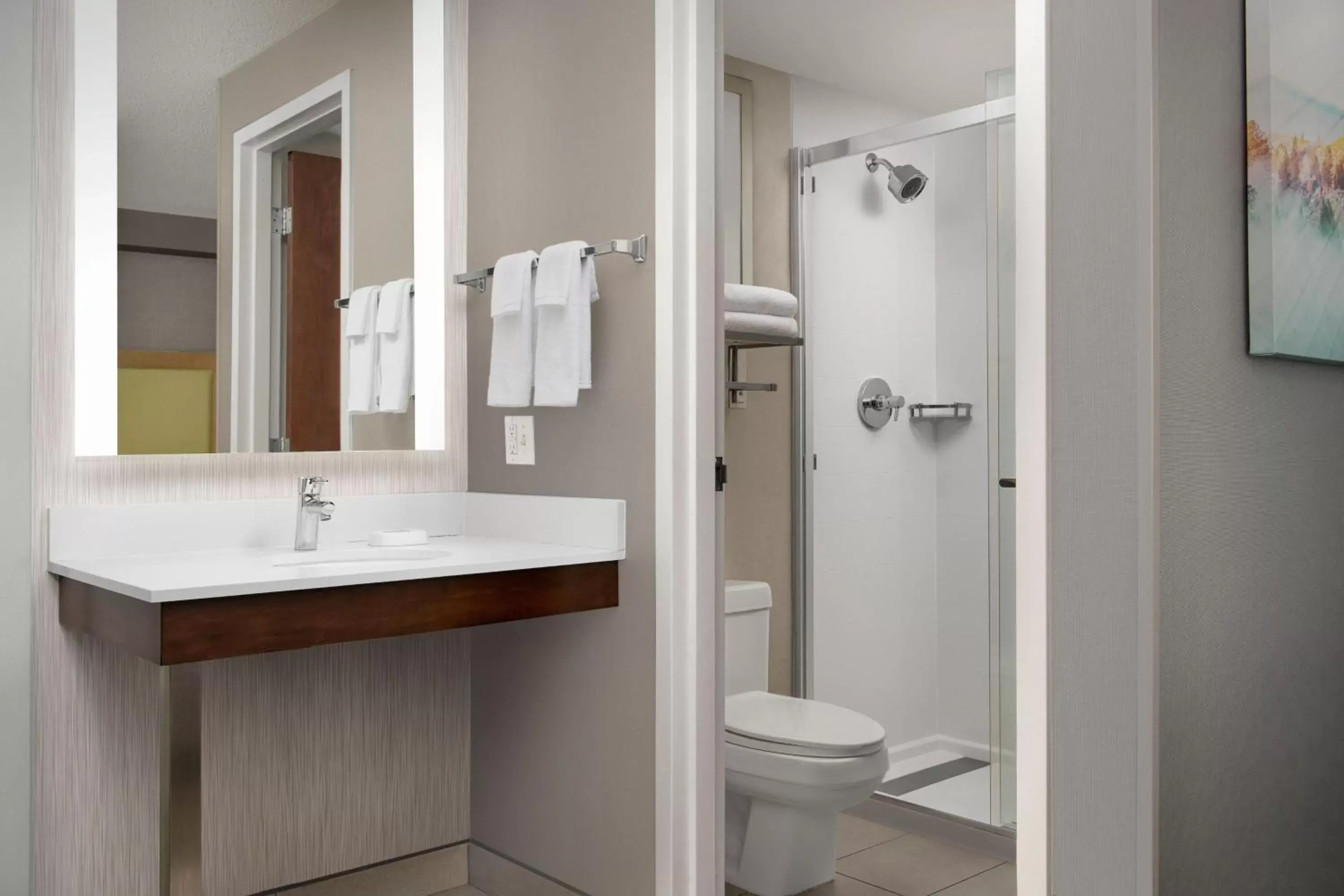 Bathroom in SpringHill Suites by Marriott Boise ParkCenter