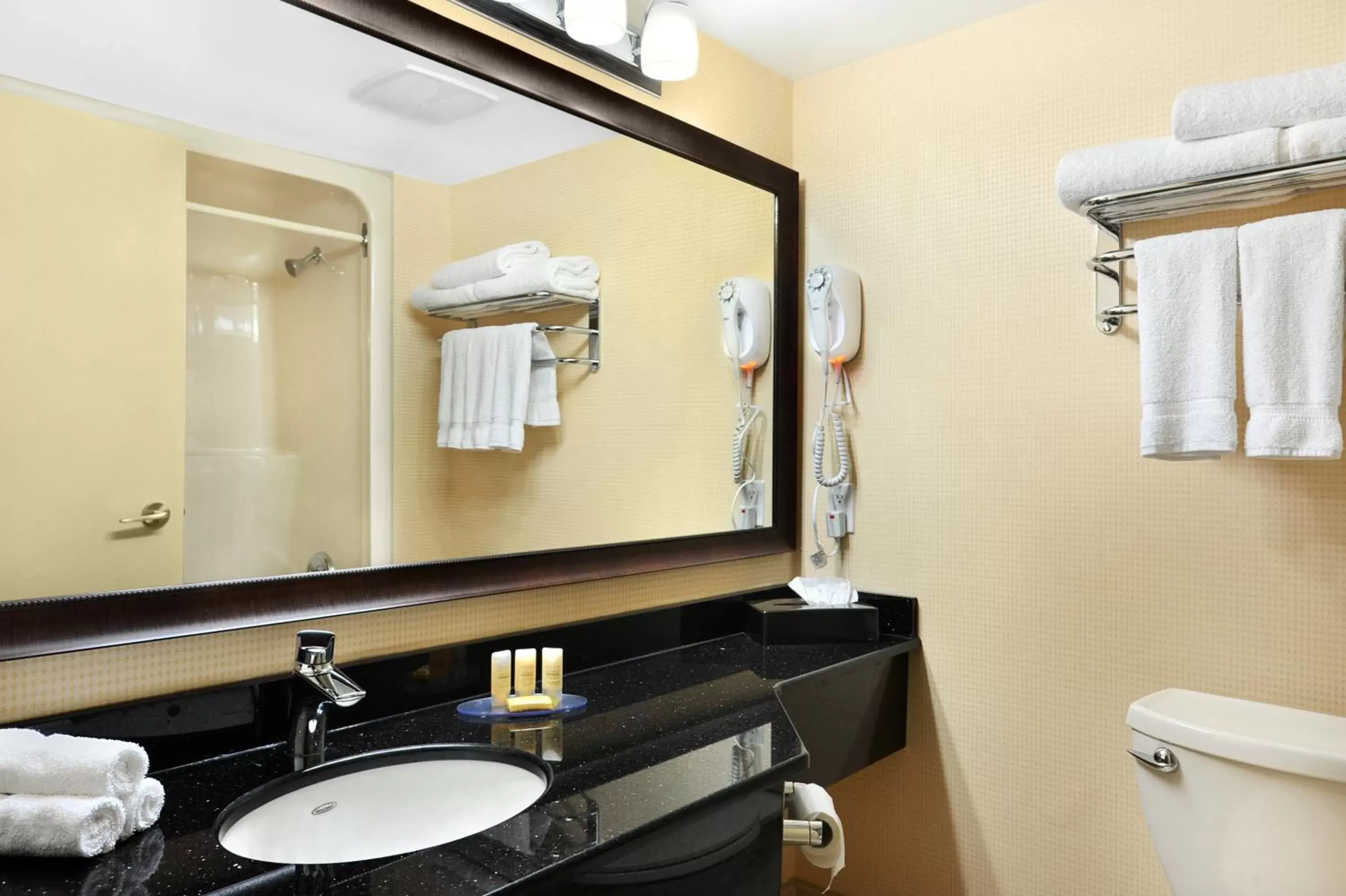 Bathroom in Comfort Inn & Conference Centre Toronto Airport