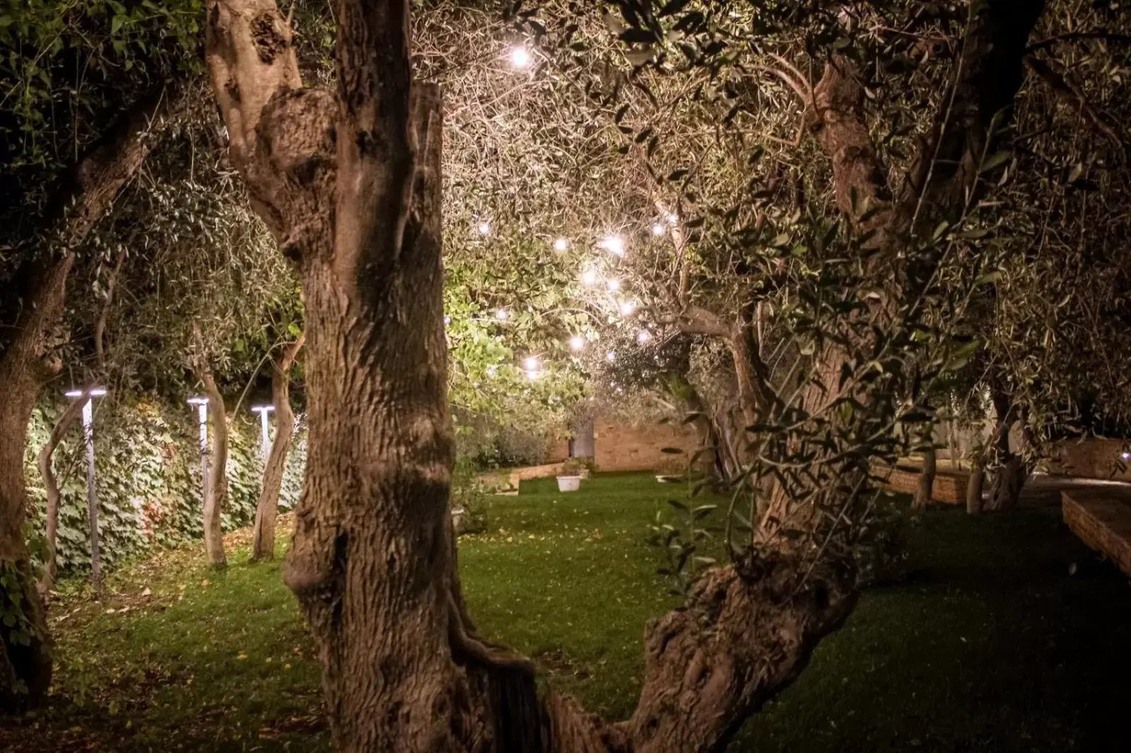 Garden in Hotel Torre Domini