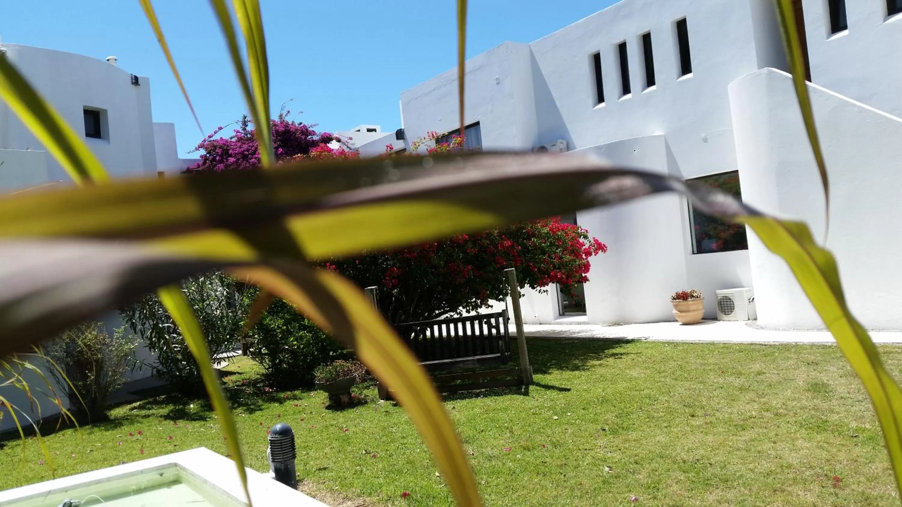 Patio in Posada de los Pajaros
