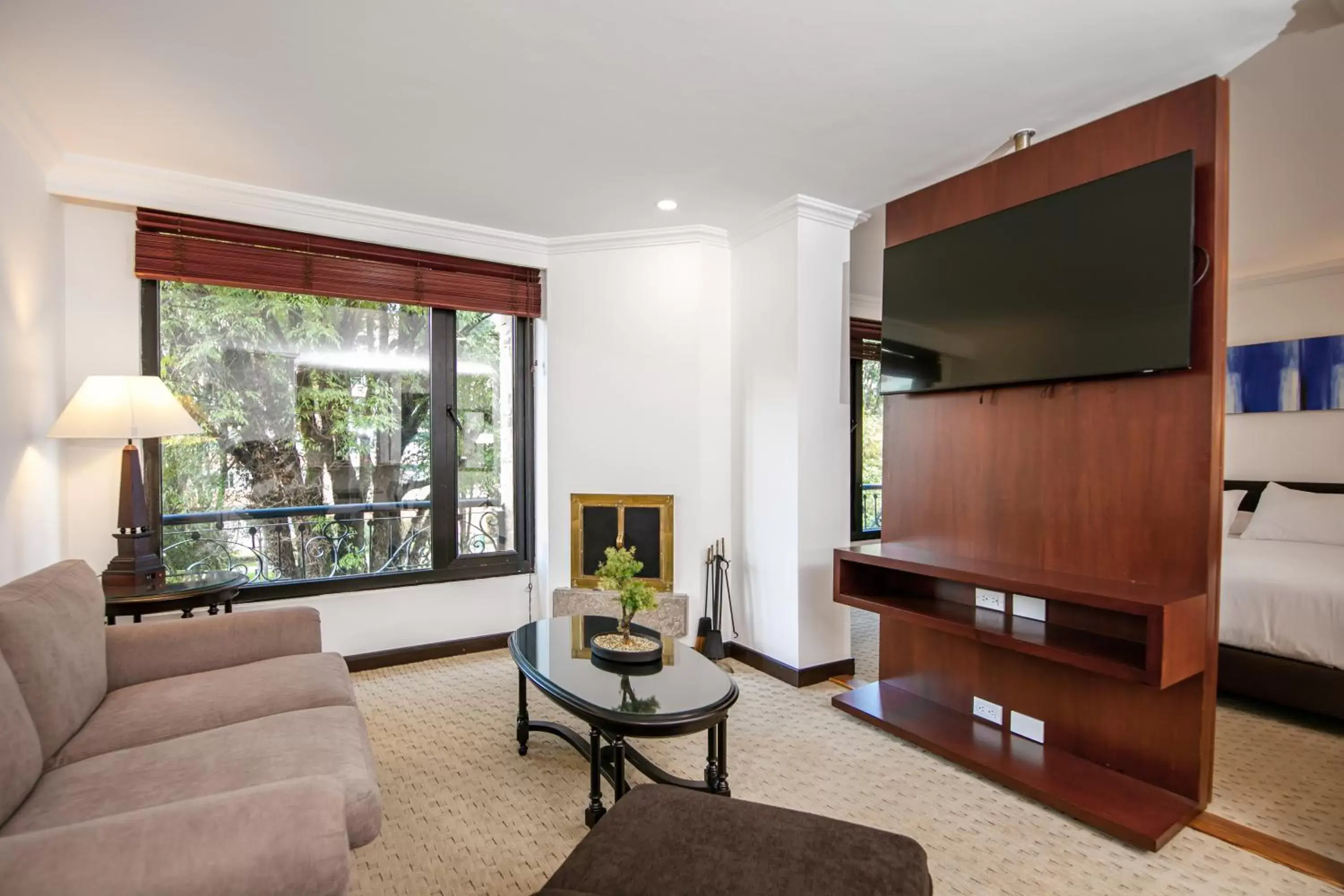 TV and multimedia, Seating Area in Hotel 101 Park House