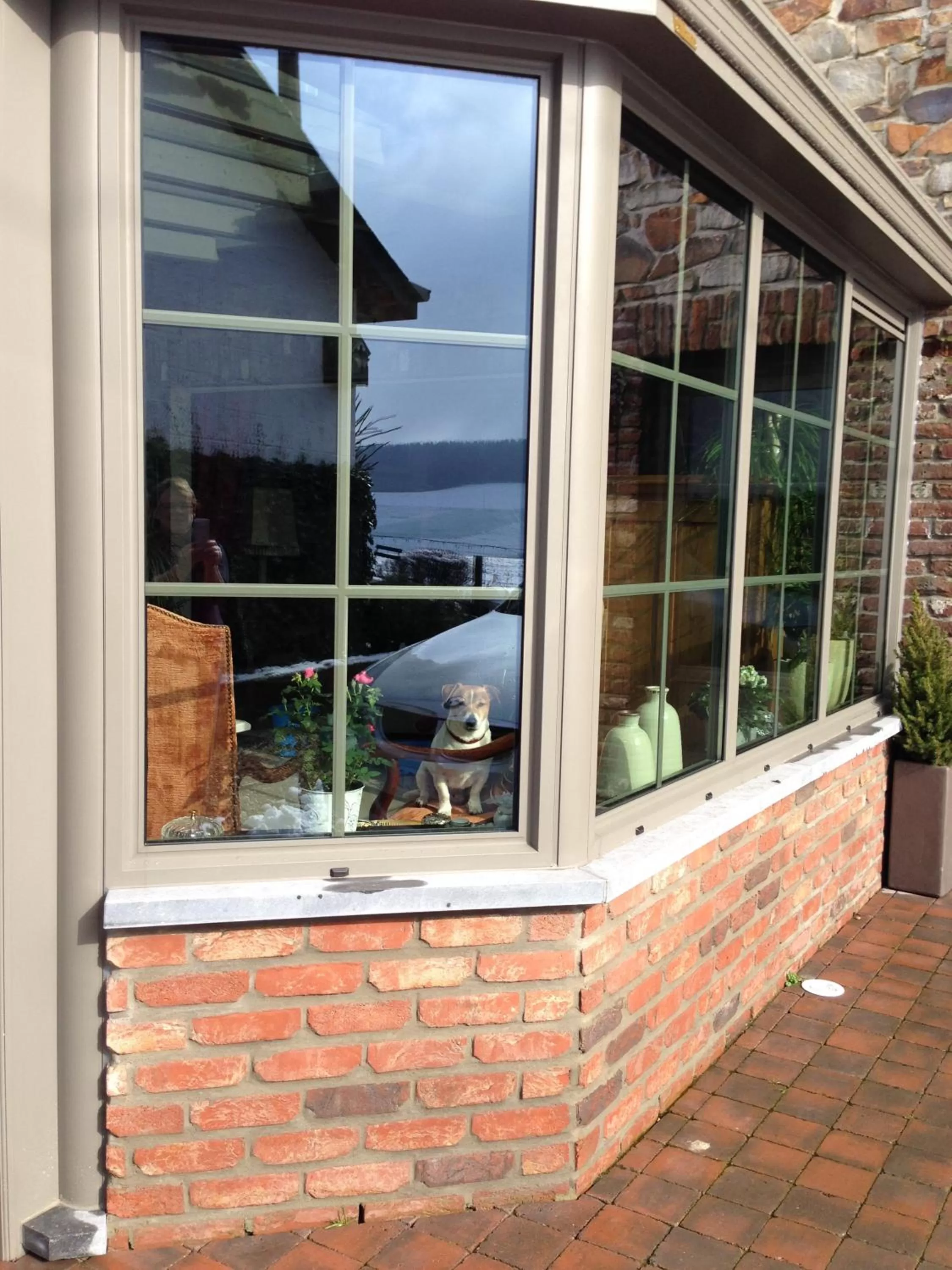 Pets in B&B La Niouche