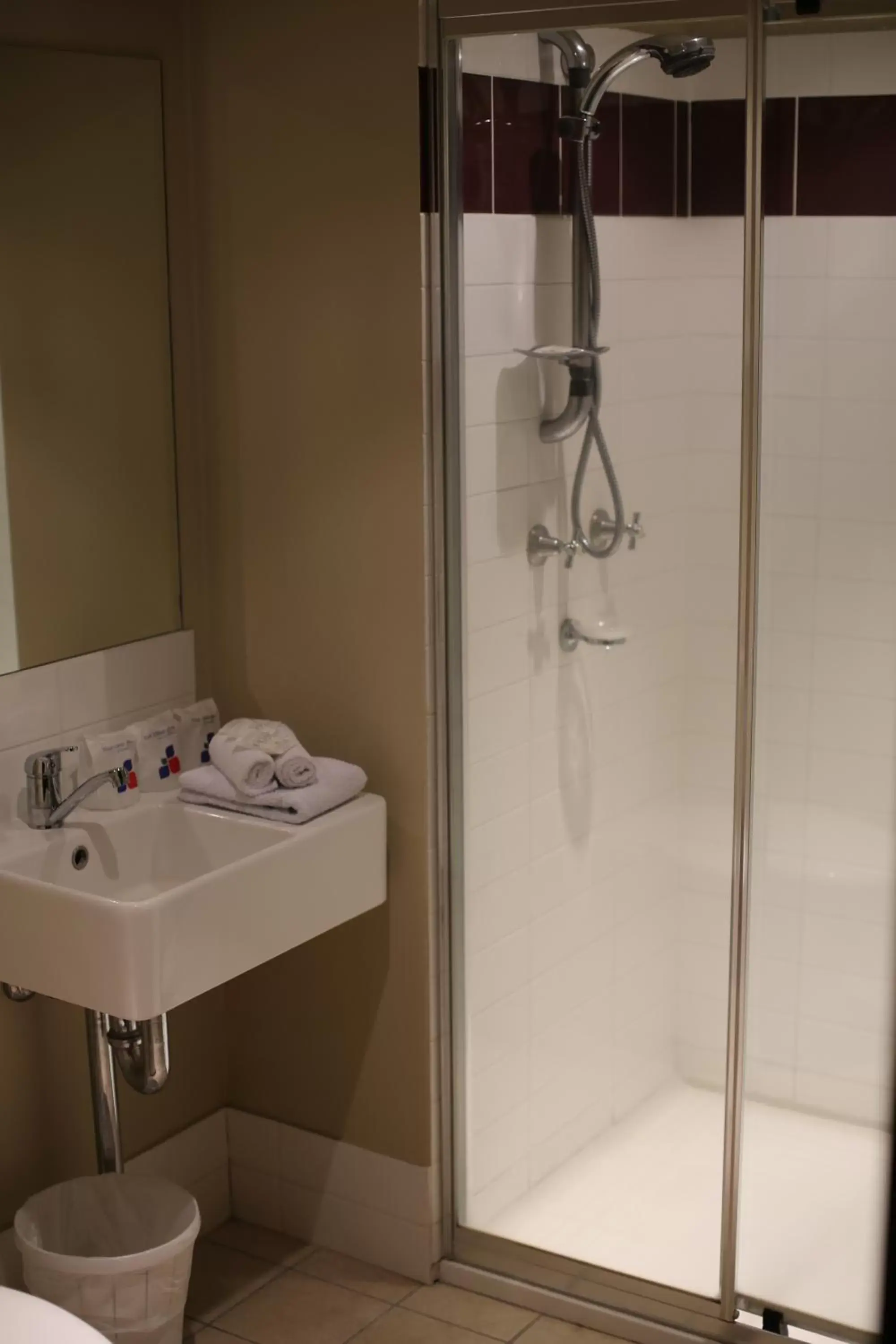 Shower, Bathroom in Windsor Castle Hotel