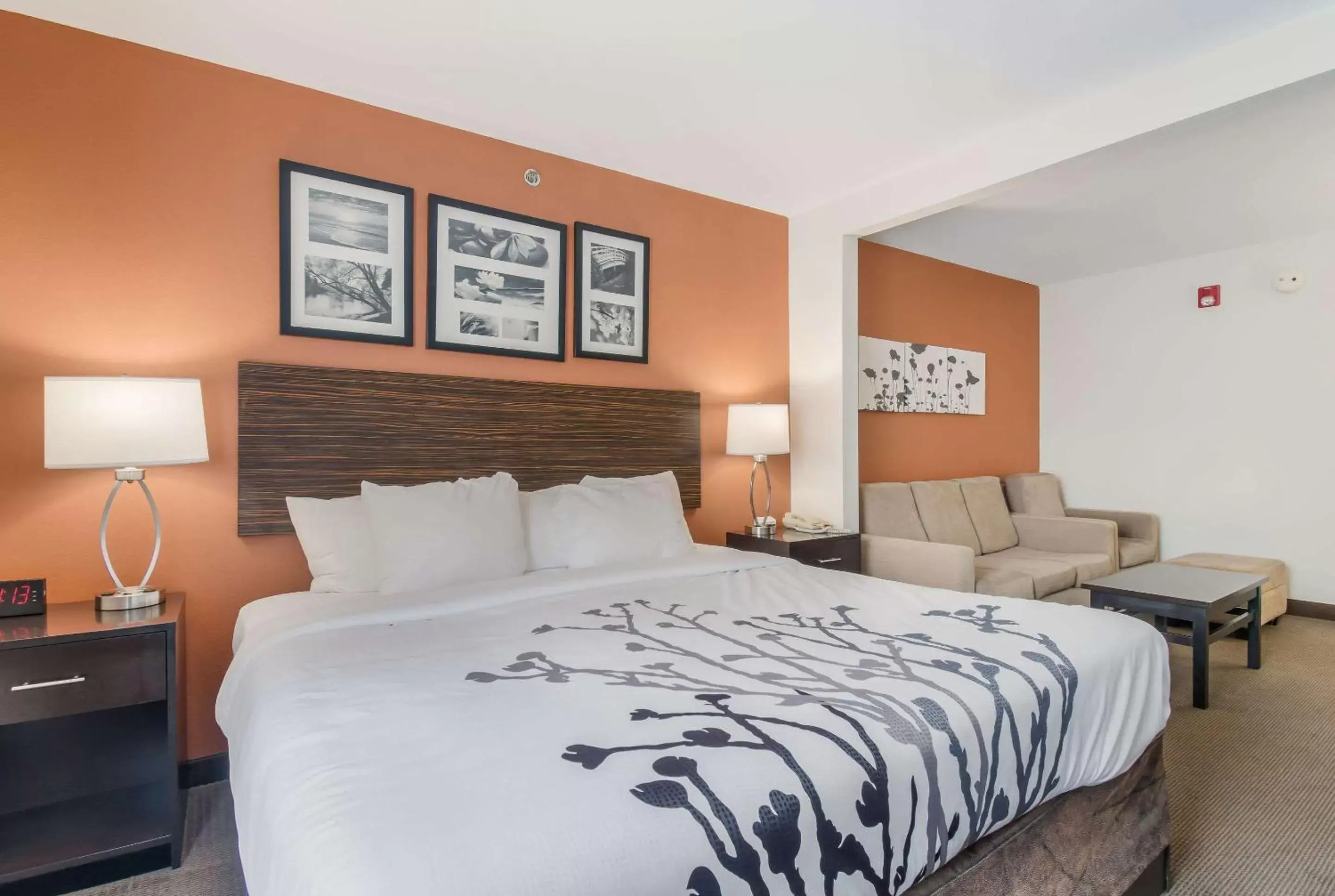 Bedroom, Bed in Sleep Inn & Suites Ronks