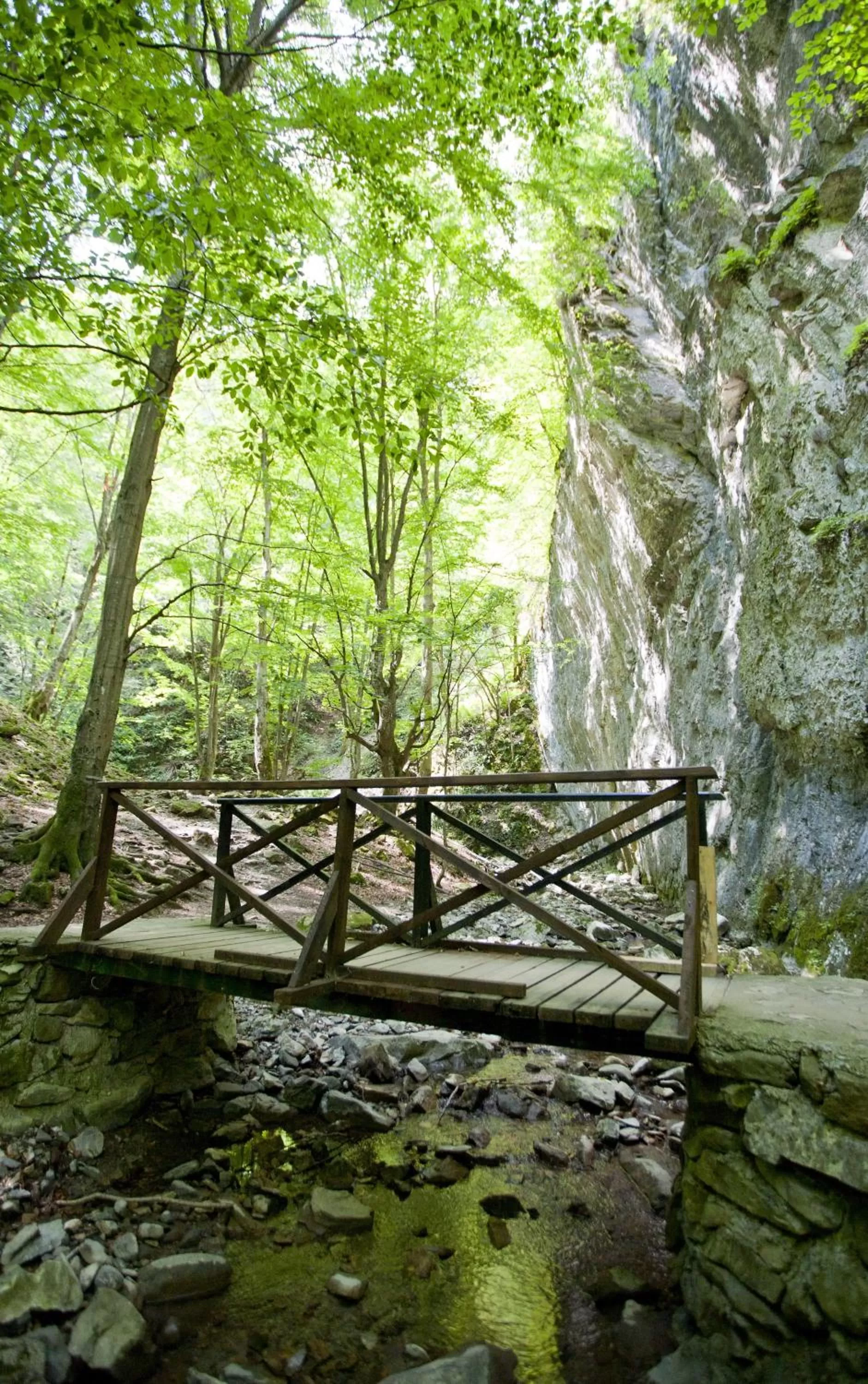 Landmark view in Family Hotel Teteven