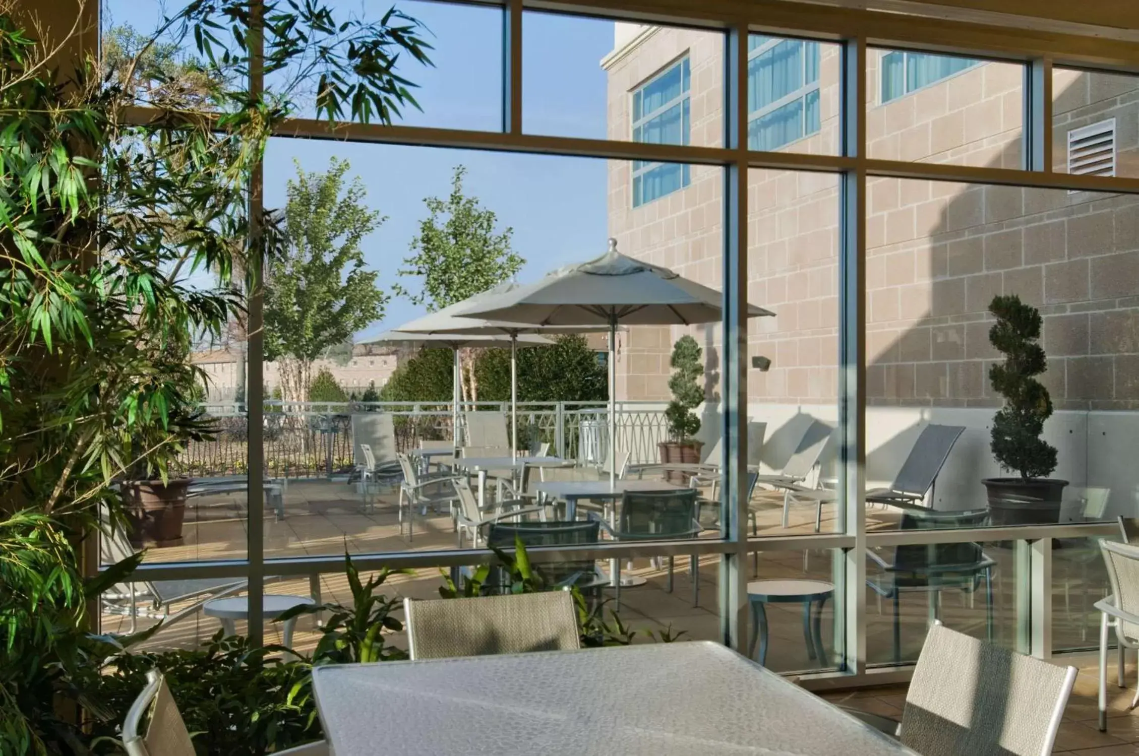 Pool view, Restaurant/Places to Eat in Embassy Suites by Hilton Hampton Convention Center