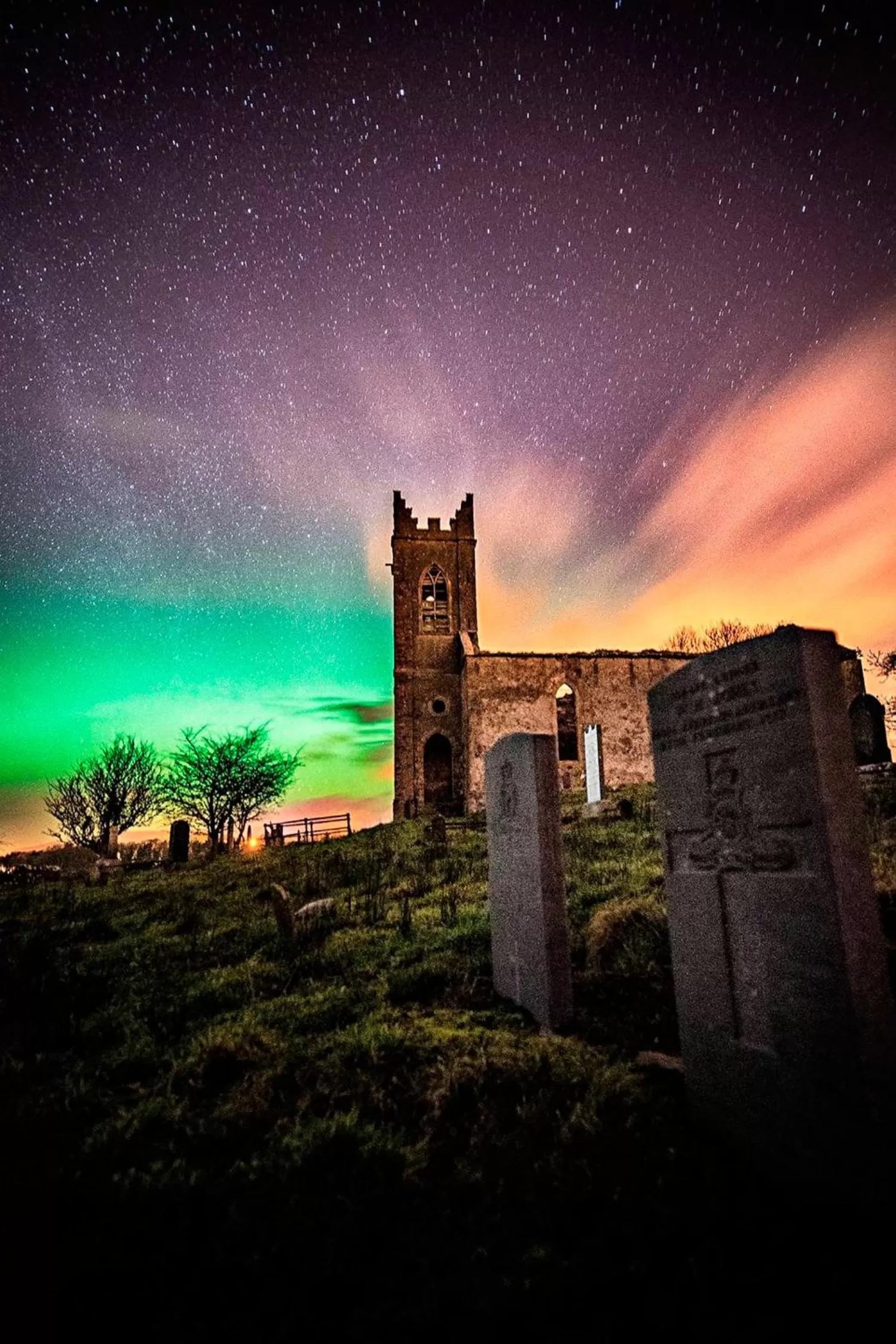 Natural landscape in Carnately Lodge