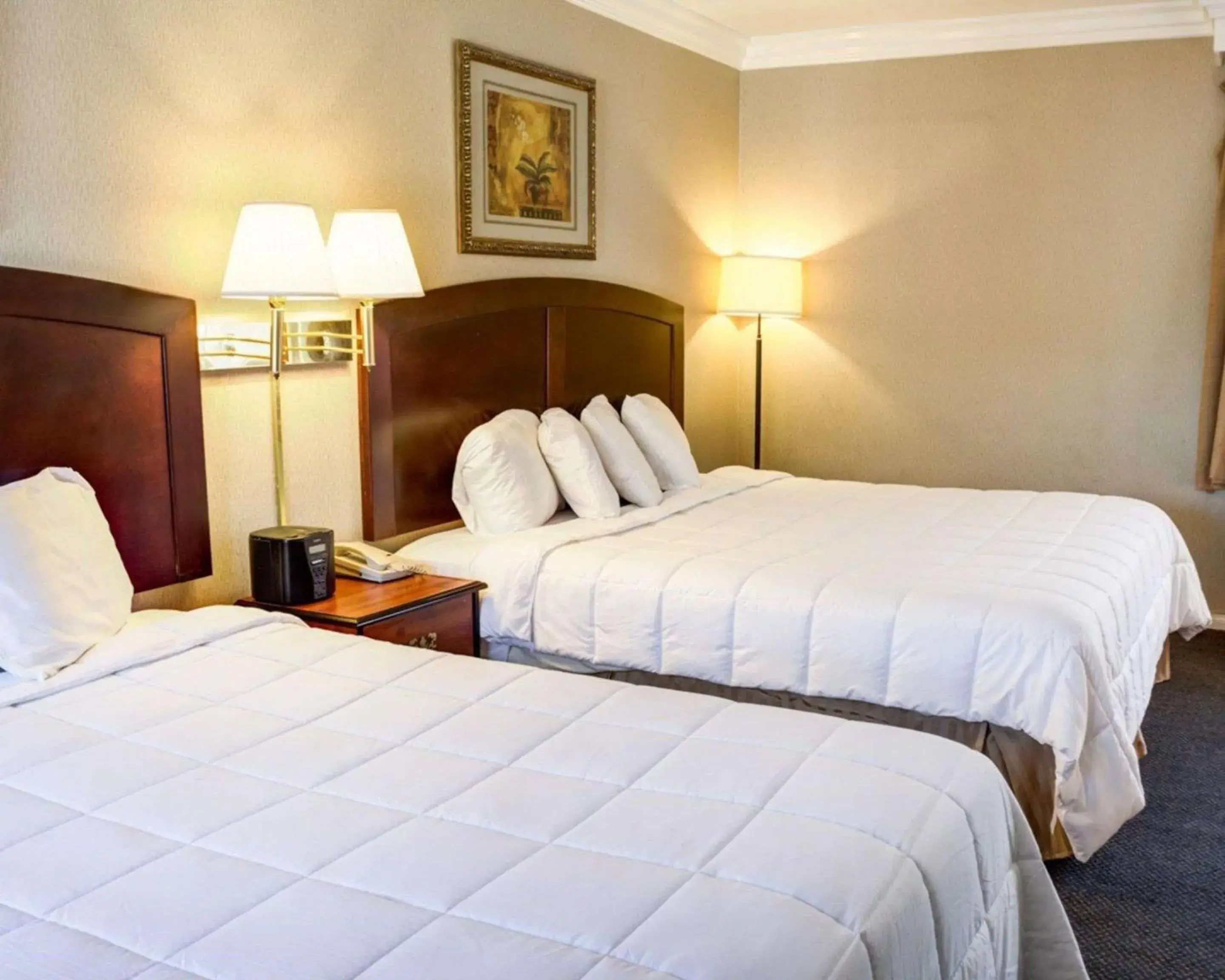 Photo of the whole room in Rodeway Inn near Venice Beach Photo of the whole room in Rodeway Inn near Venice Beach