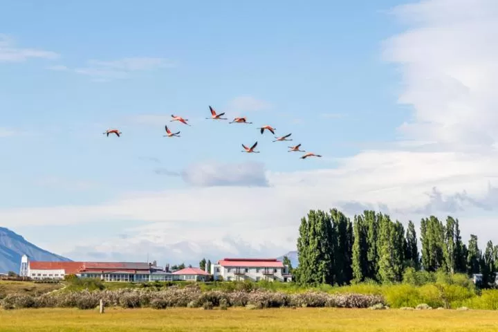 Hostería El Galpón Del Glaciar