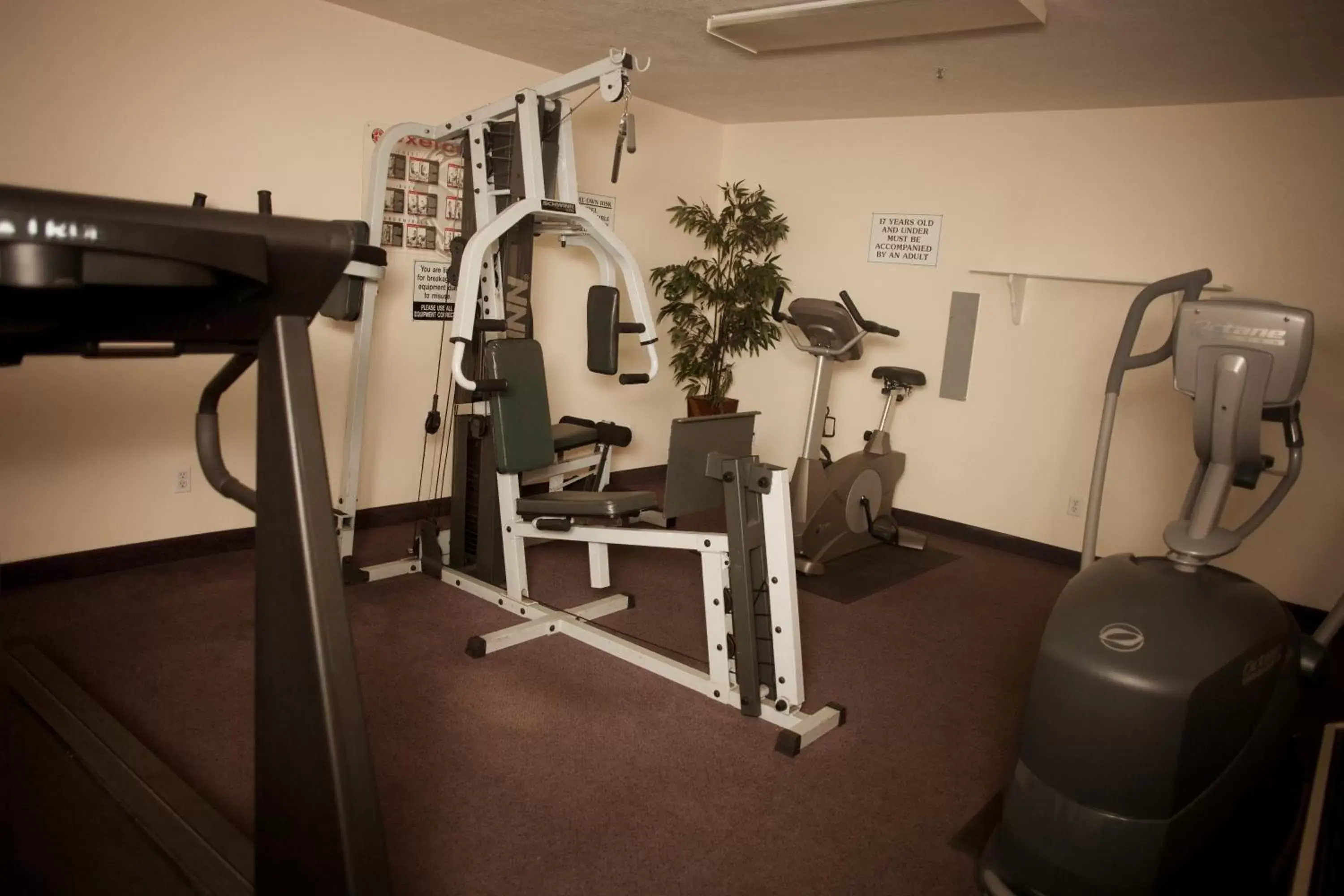 Fitness centre/facilities in St. George Inn and Suites Fitness centre/facilities in St. George Inn and Suites