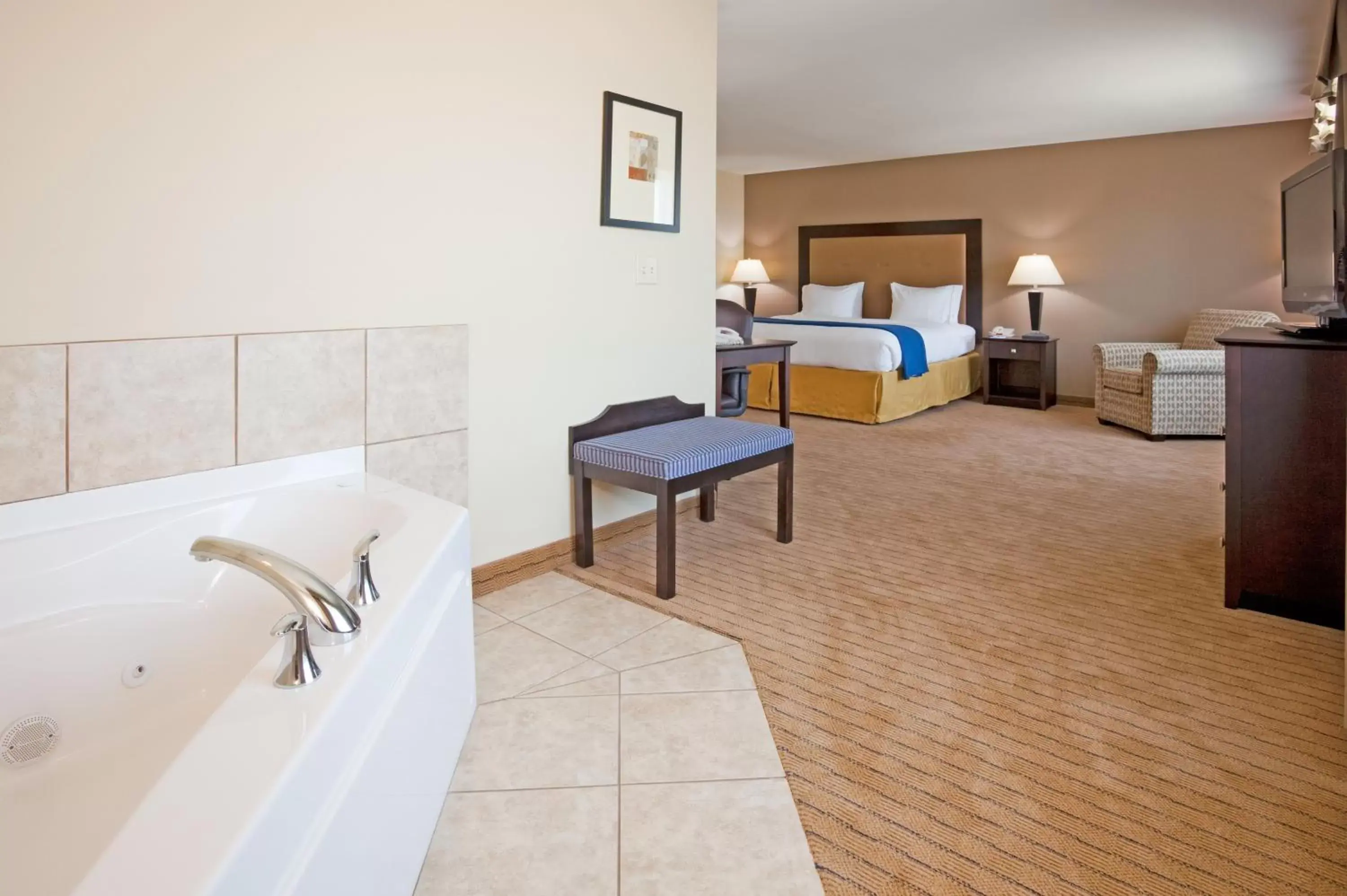 Photo of the whole room, Bathroom in Holiday Inn Express & Suites Madison-Verona, an IHG Hotel