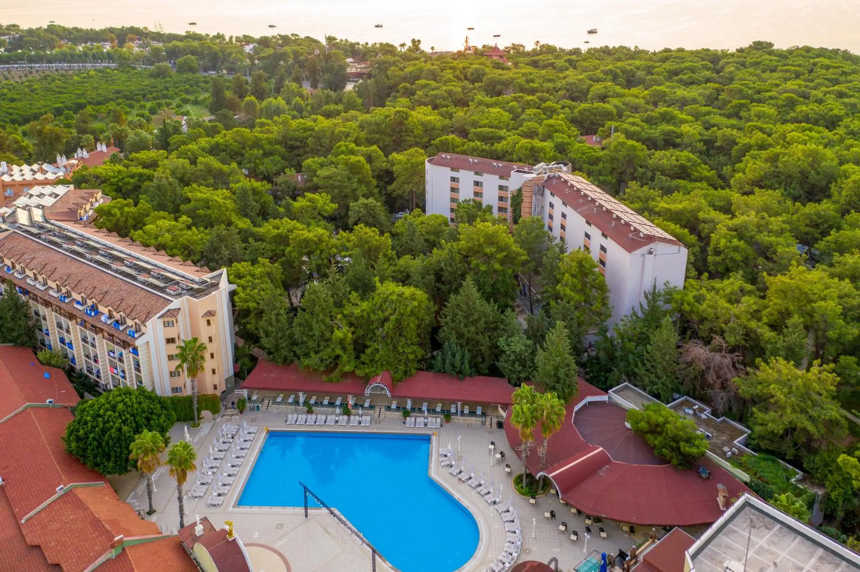 Natural landscape, Pool View in Armas Kaplan Paradise