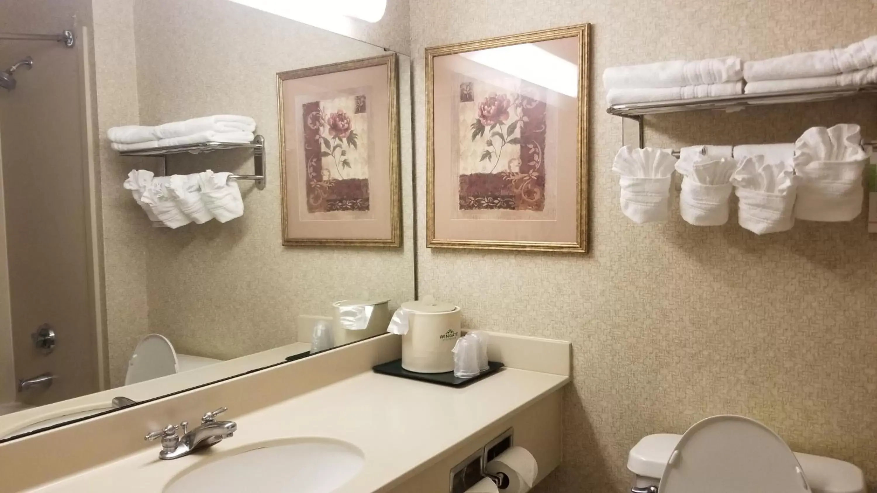 Bathroom in Wingate by Wyndham Airport - Rockville Road