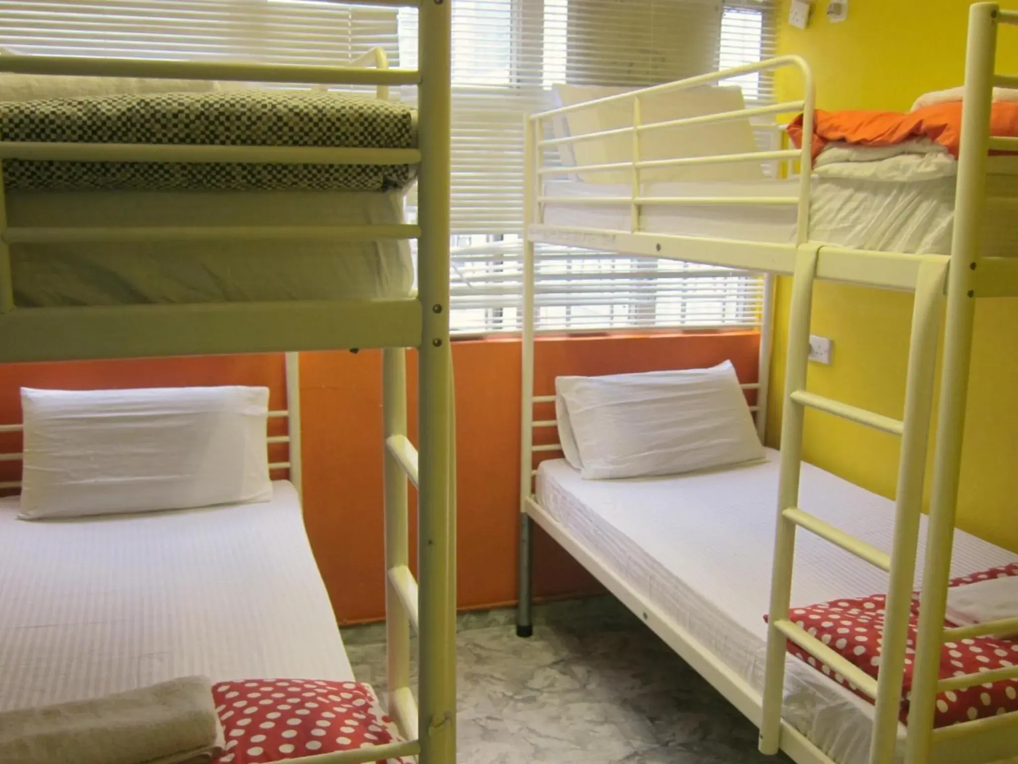 Single Bed in 4-Bed Mixed Dormitory Room in Ashoka Hostel