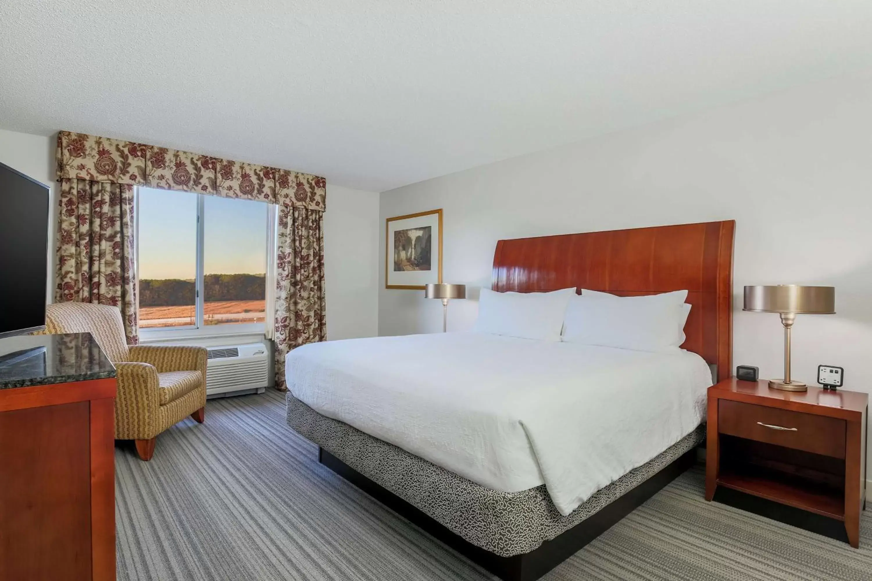 Bedroom, Bed in Hilton Garden Inn Roanoke Rapids / Carolina Crossroads