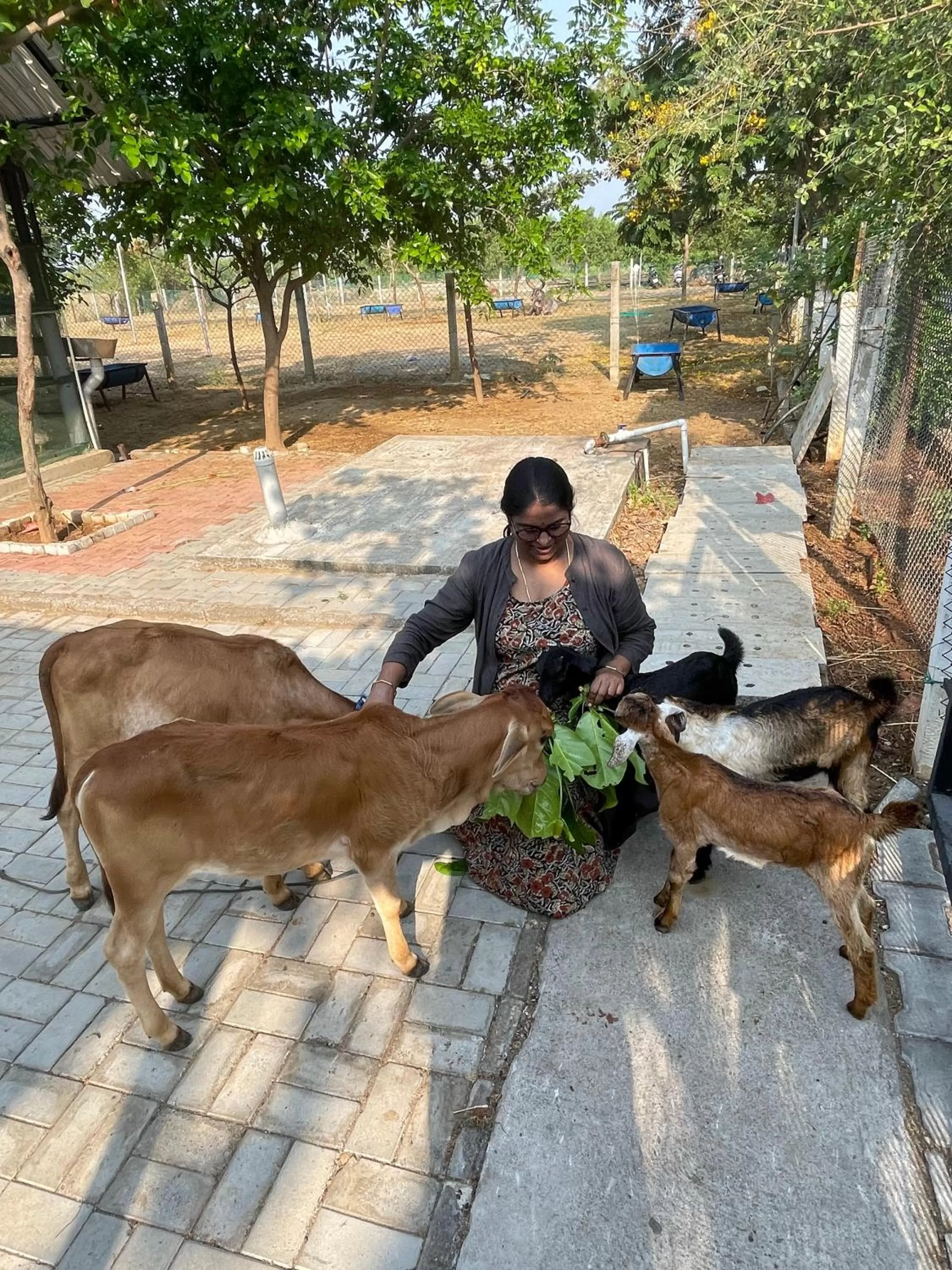 Marutham Village Resort