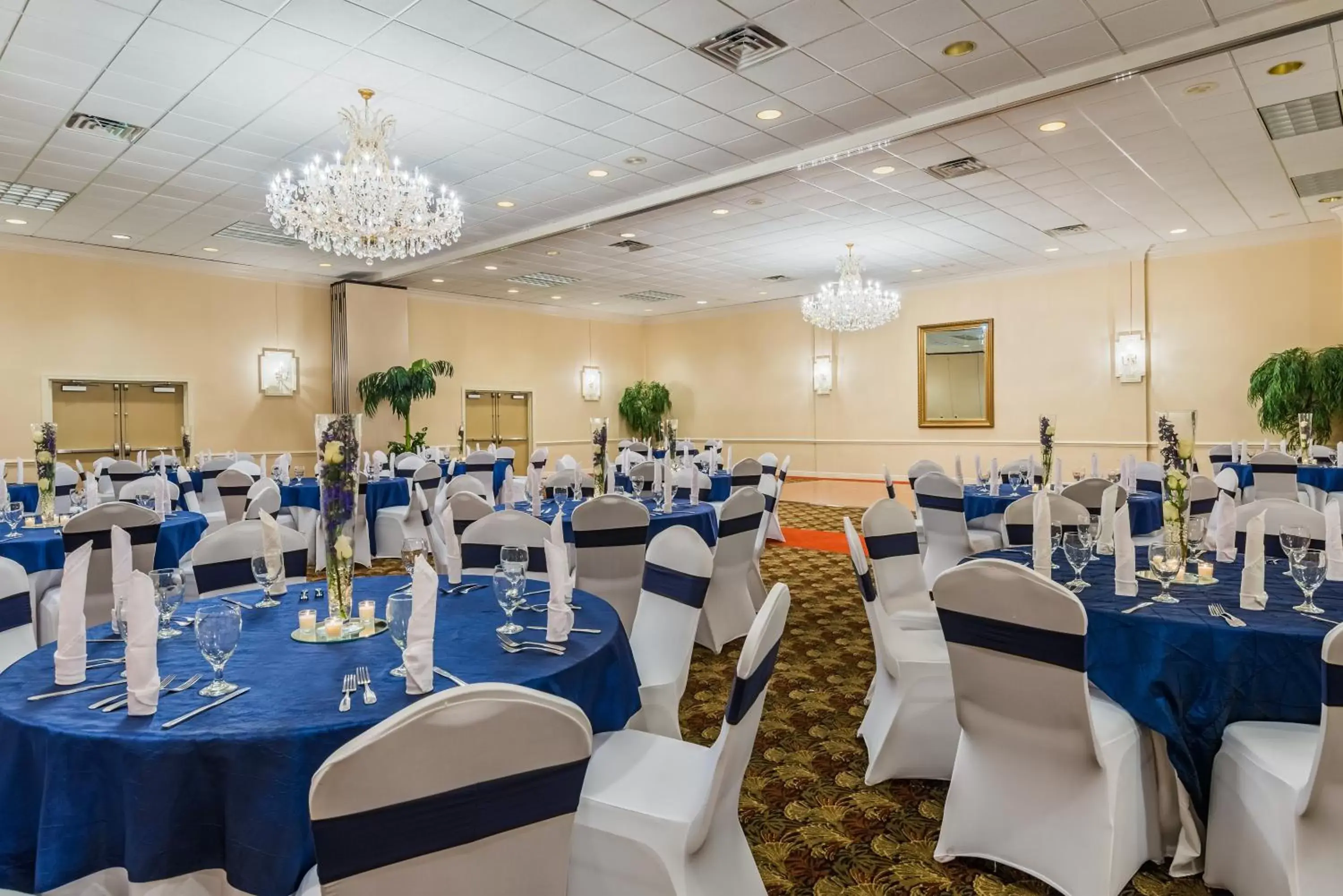 Banquet/Function facilities, Banquet Facilities in Holiday Inn Mobile Downtown Historic District, an IHG Hotel