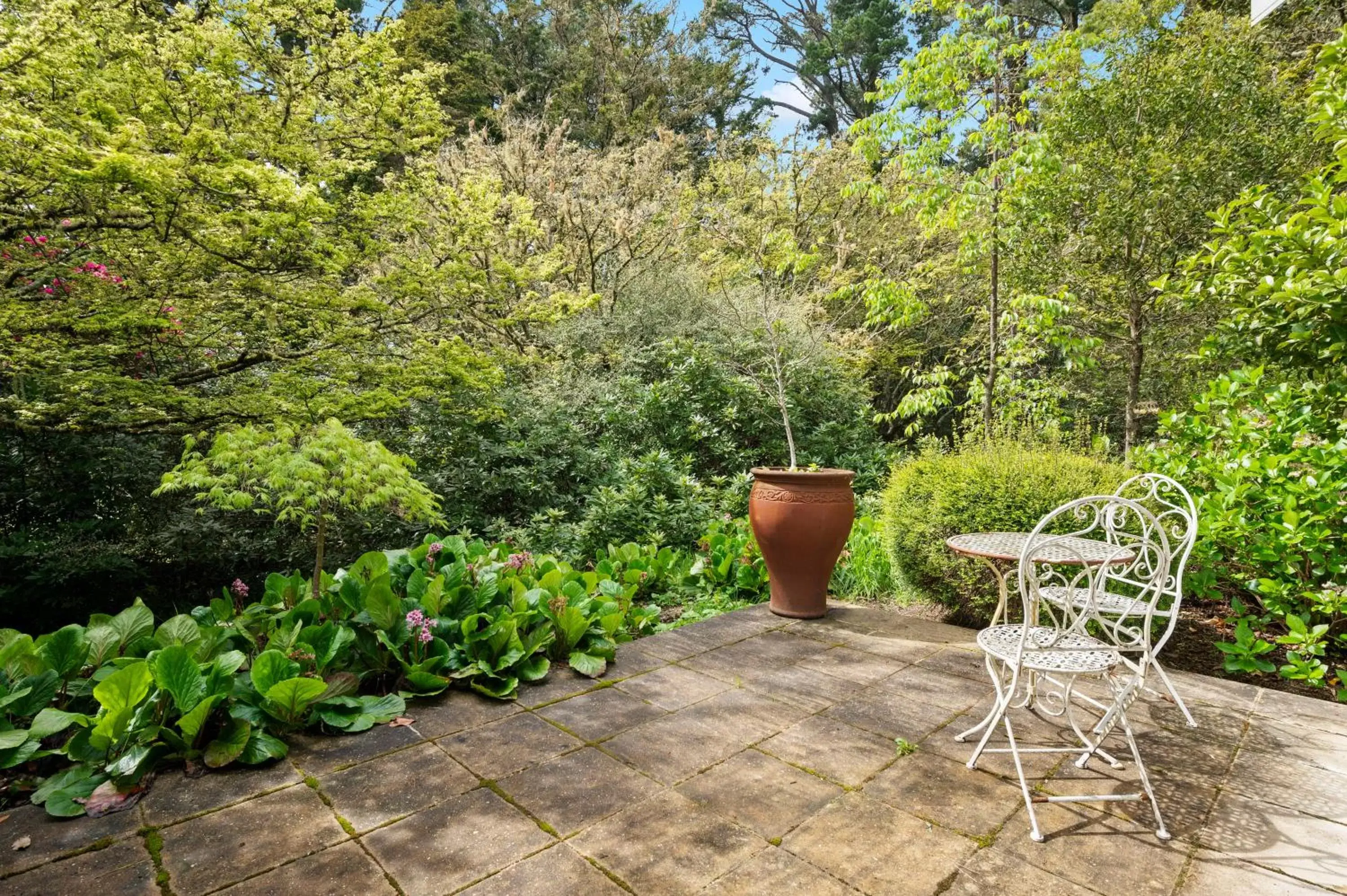 Patio in Parklands Country Gardens & Lodges Blue Mountains