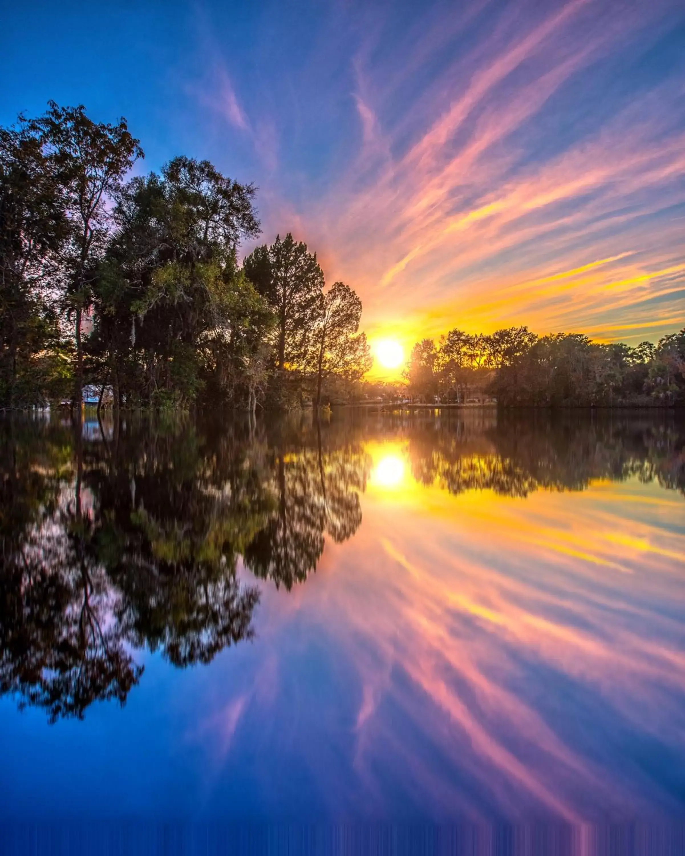 Natural landscape in Plantation Resort on Crystal River, Ascend Hotel Collection